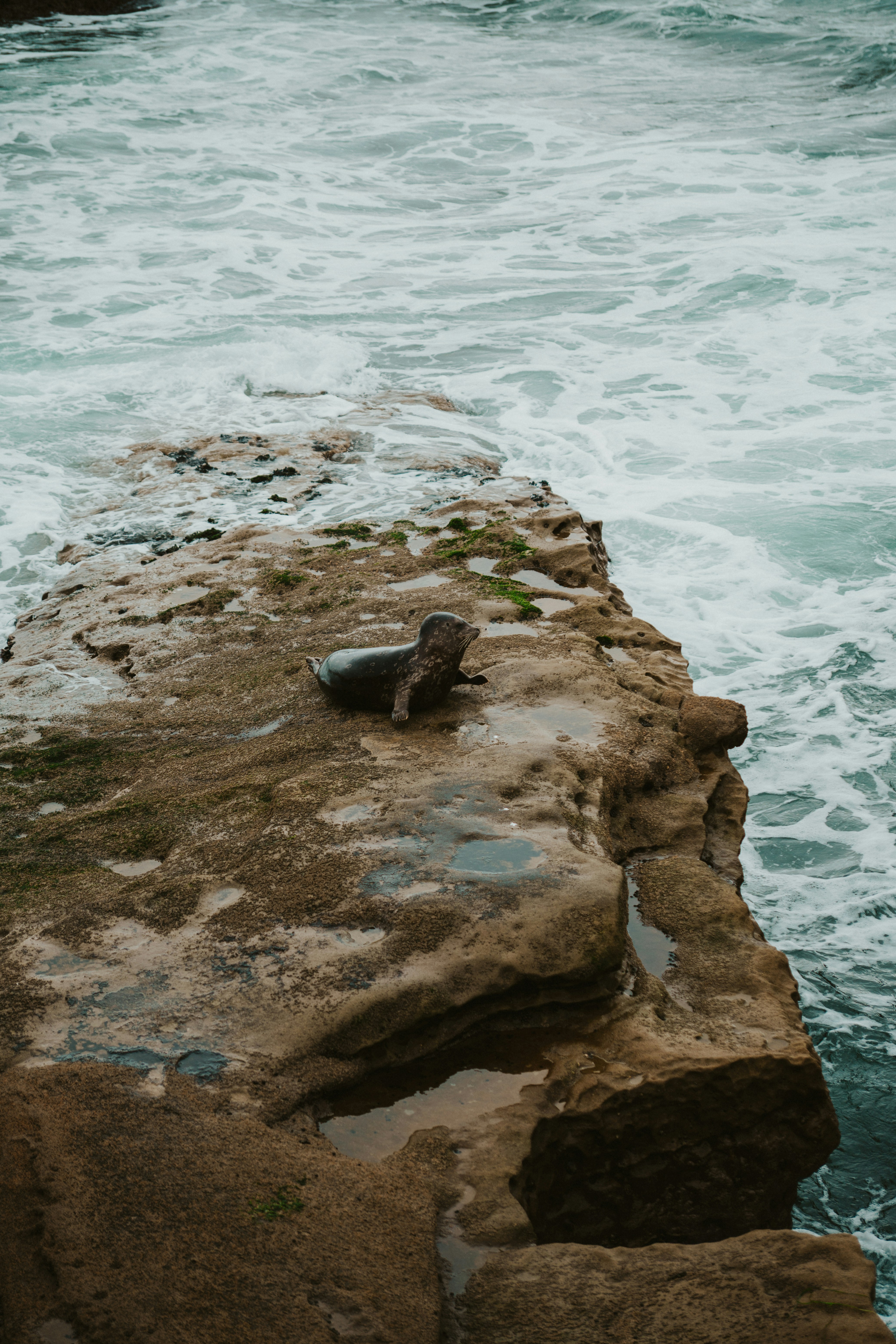 Photo by nickfuentes_