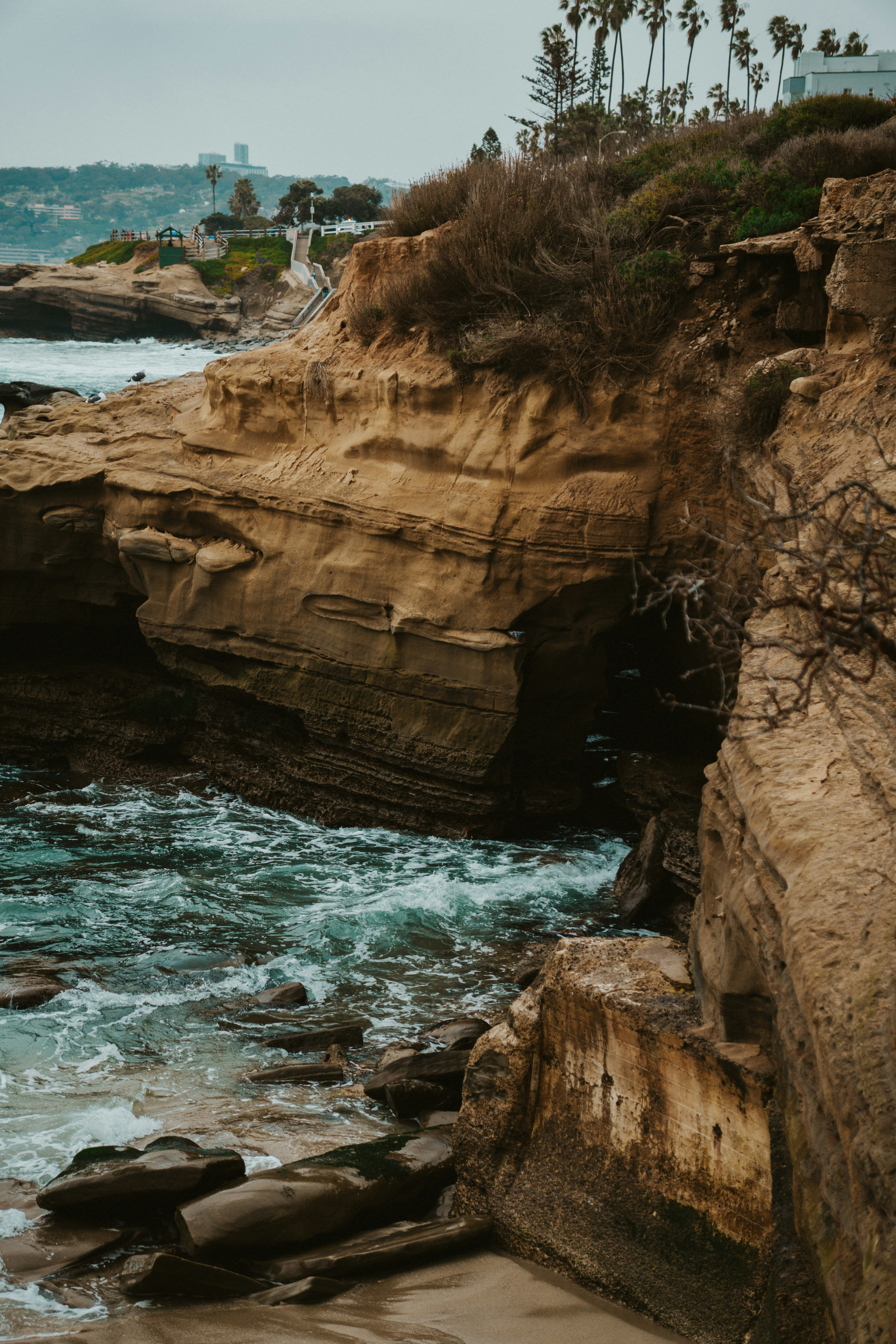 Photo by nickfuentes_