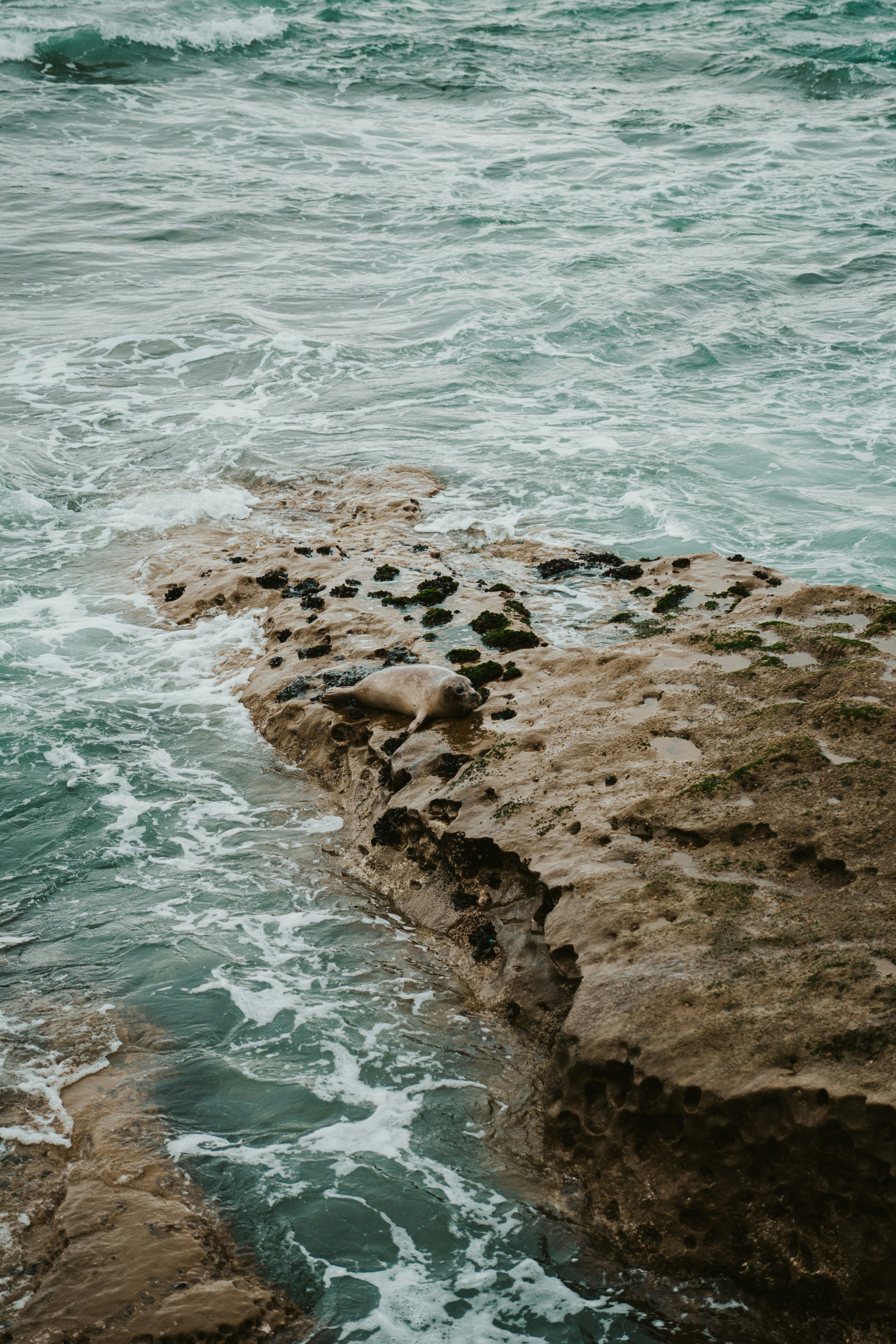 Photo by nickfuentes_