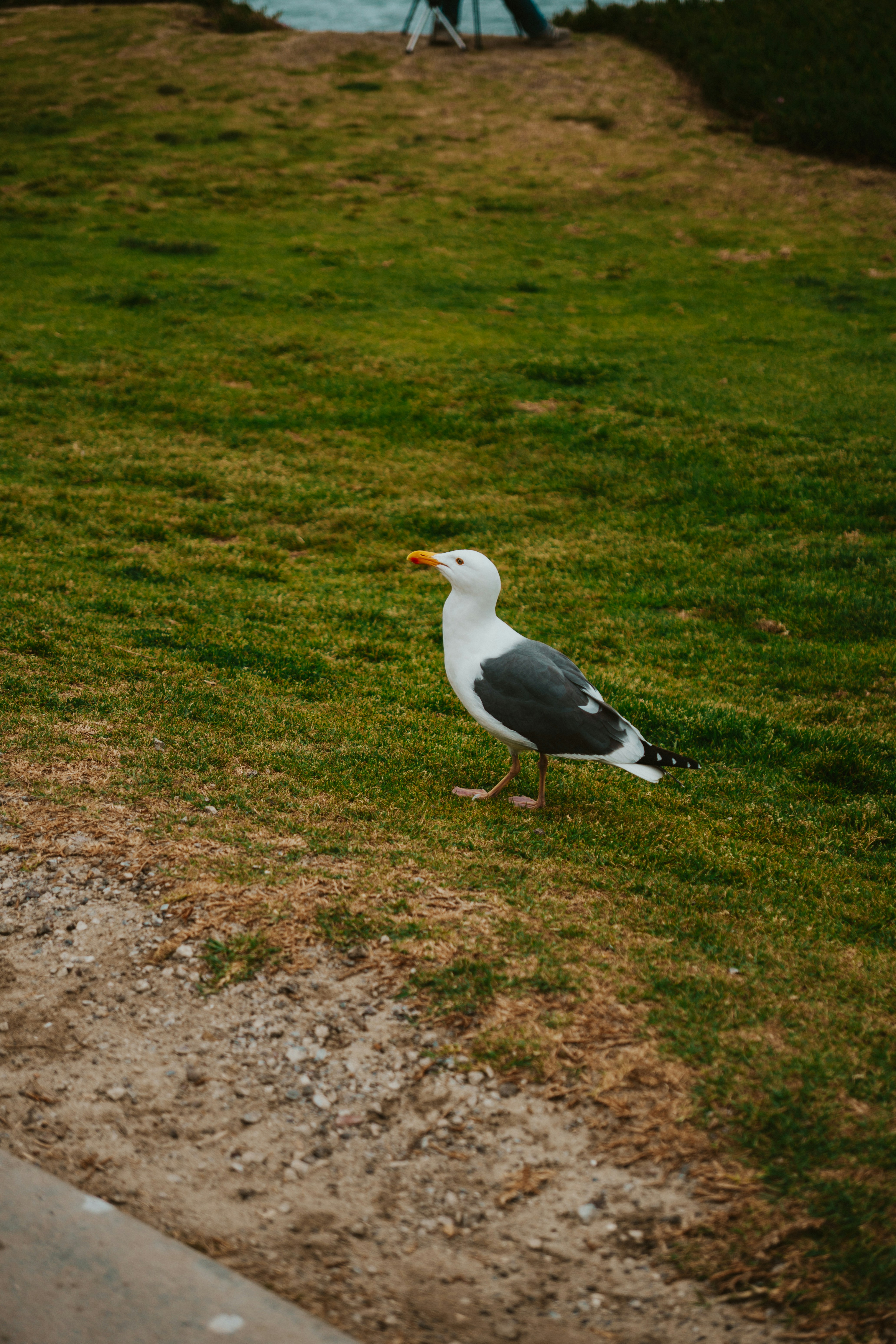 Photo by nickfuentes_