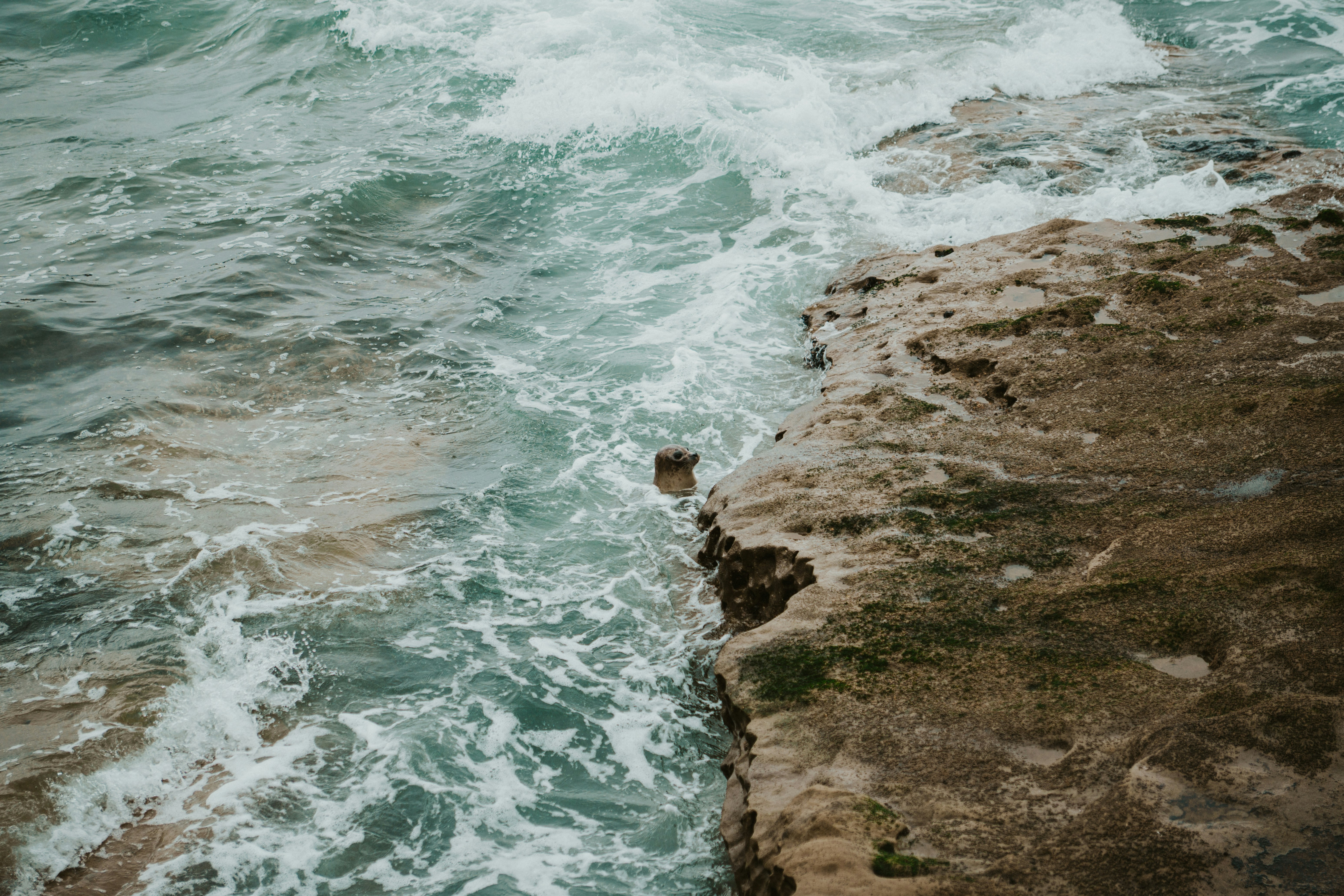 Photo by nickfuentes_