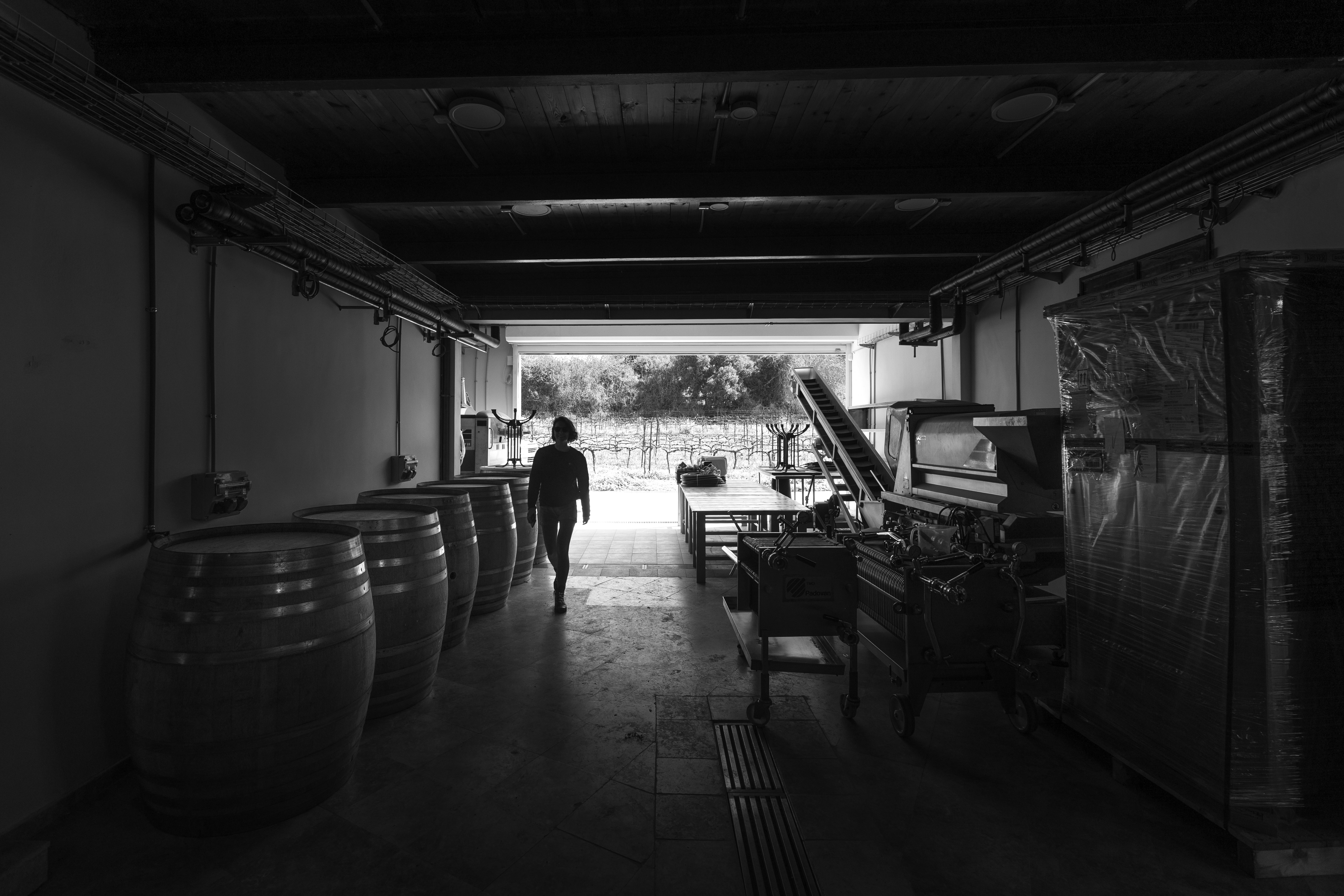 Photo by behindthetmuna