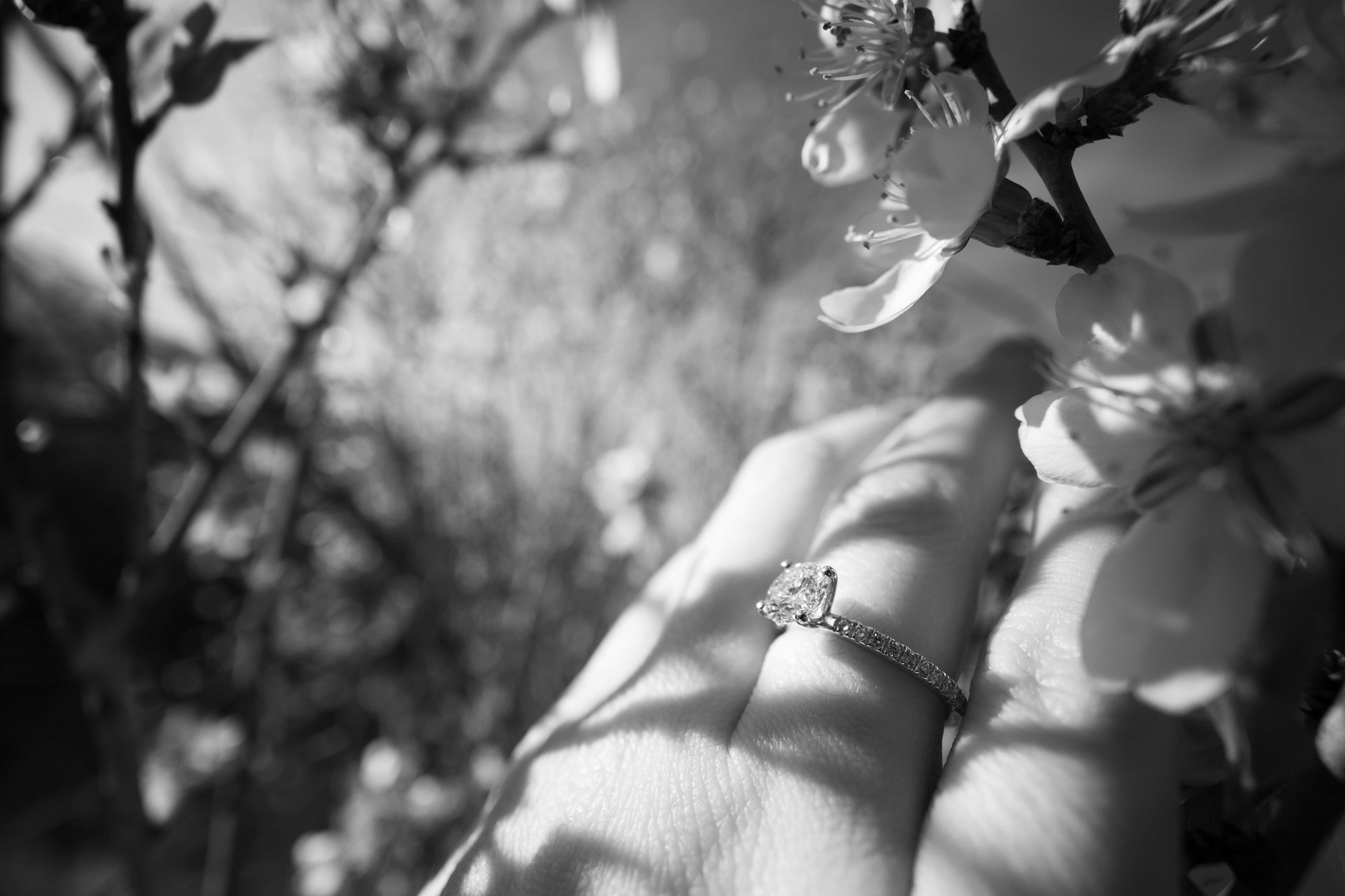 Photo by behindthetmuna