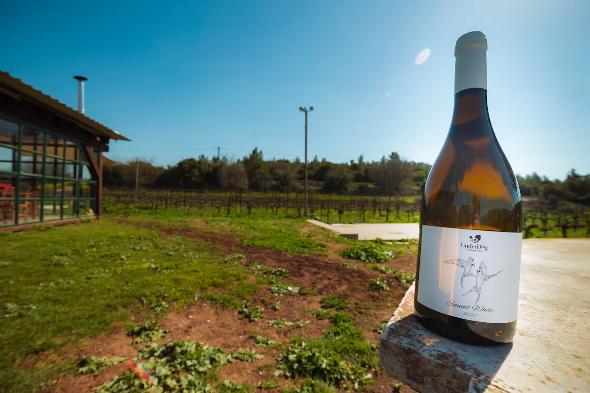 Champagne Benoît LAHAYE Rosé de Macération