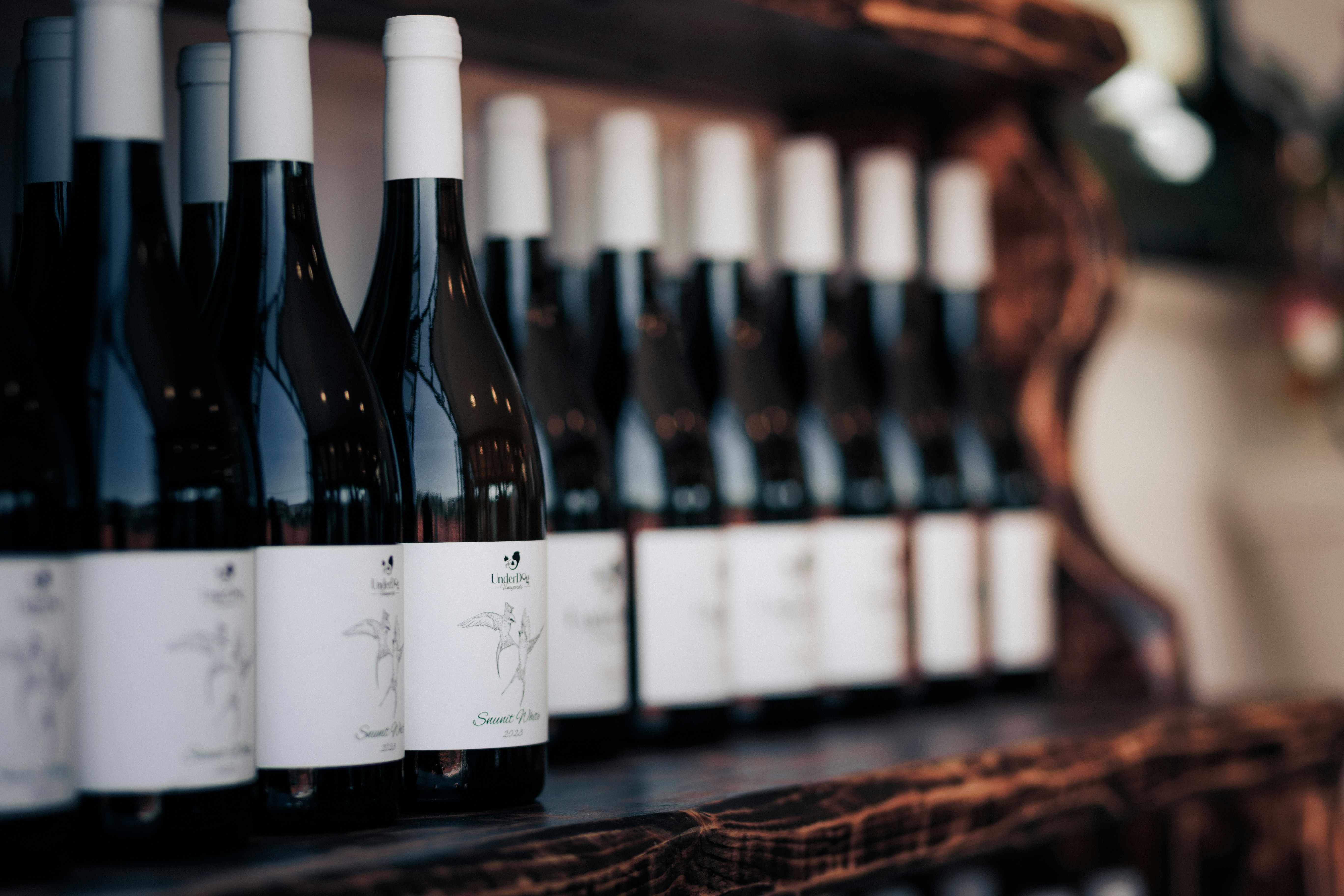 Bottles of wine are lined up neatly.