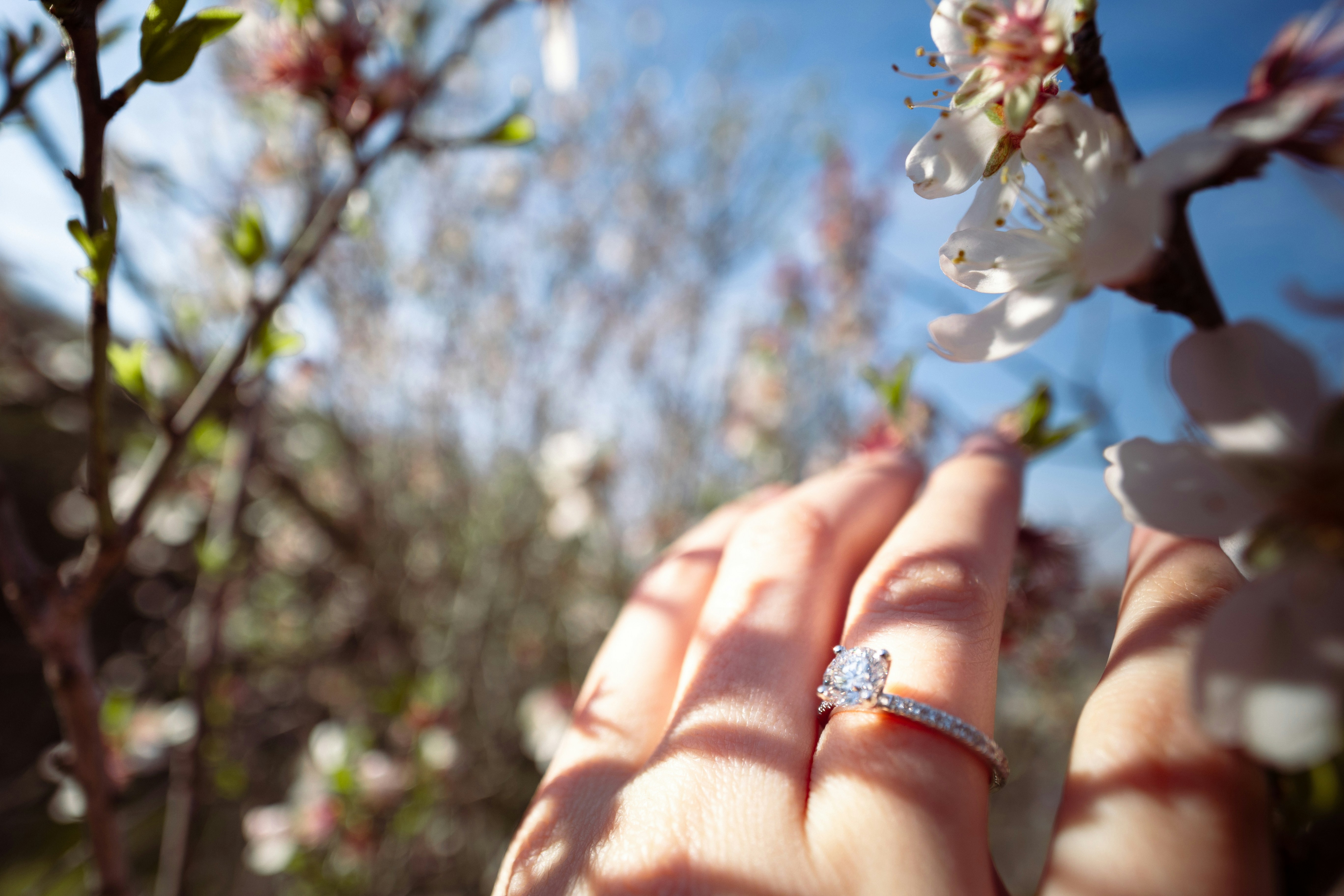 Photo by behindthetmuna