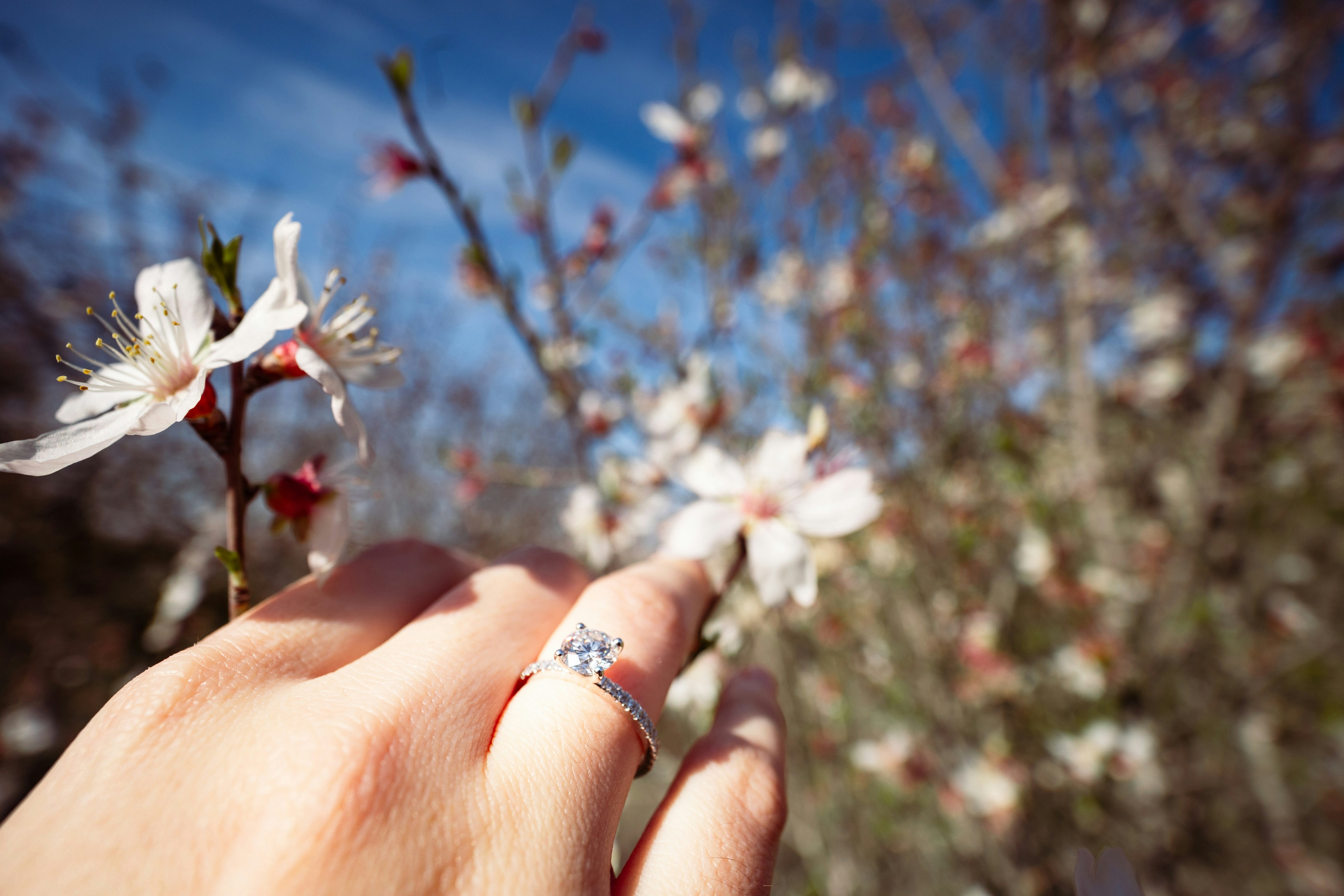 Photo by behindthetmuna