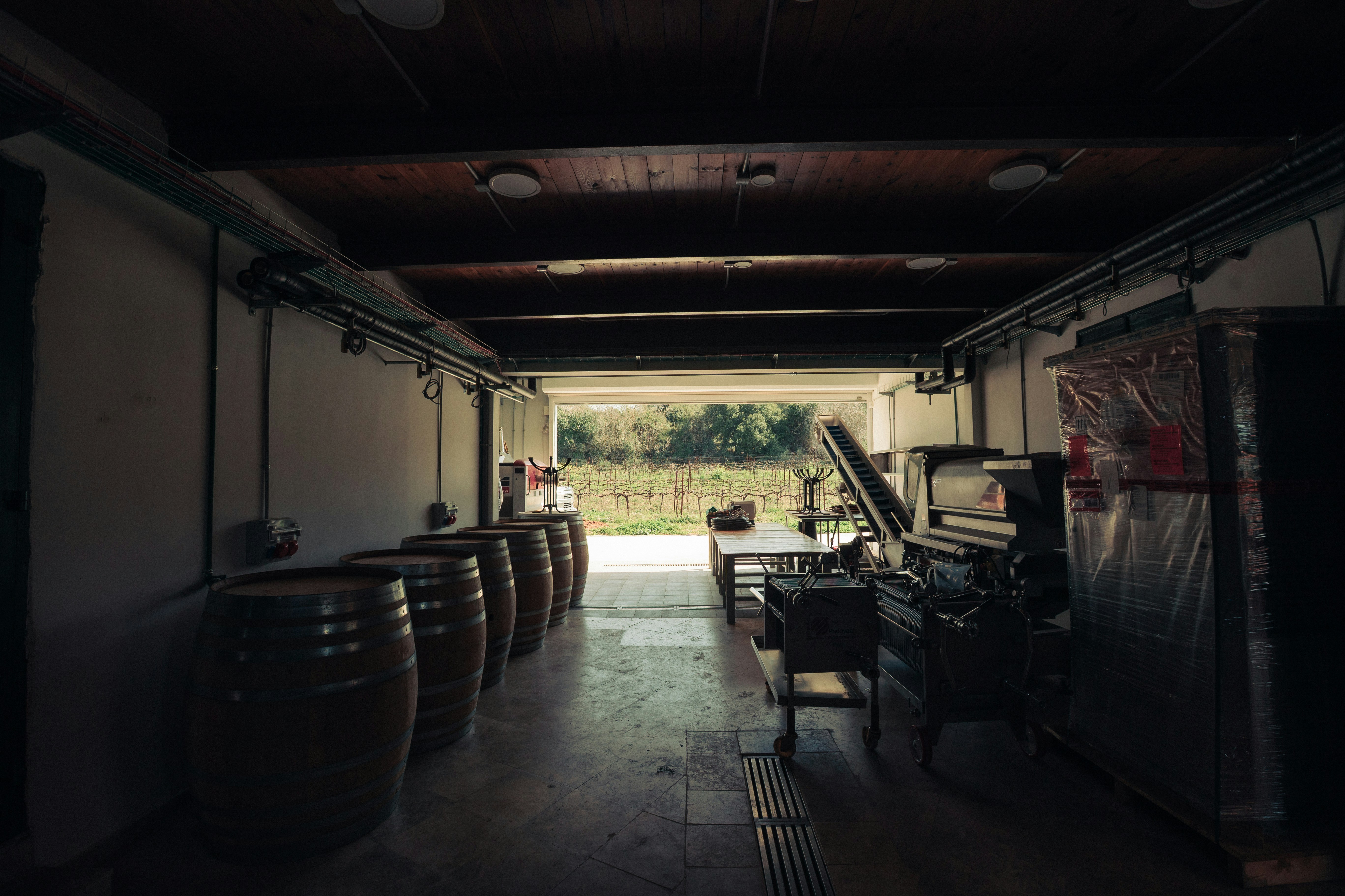 A dark cellar with barrels and open door.