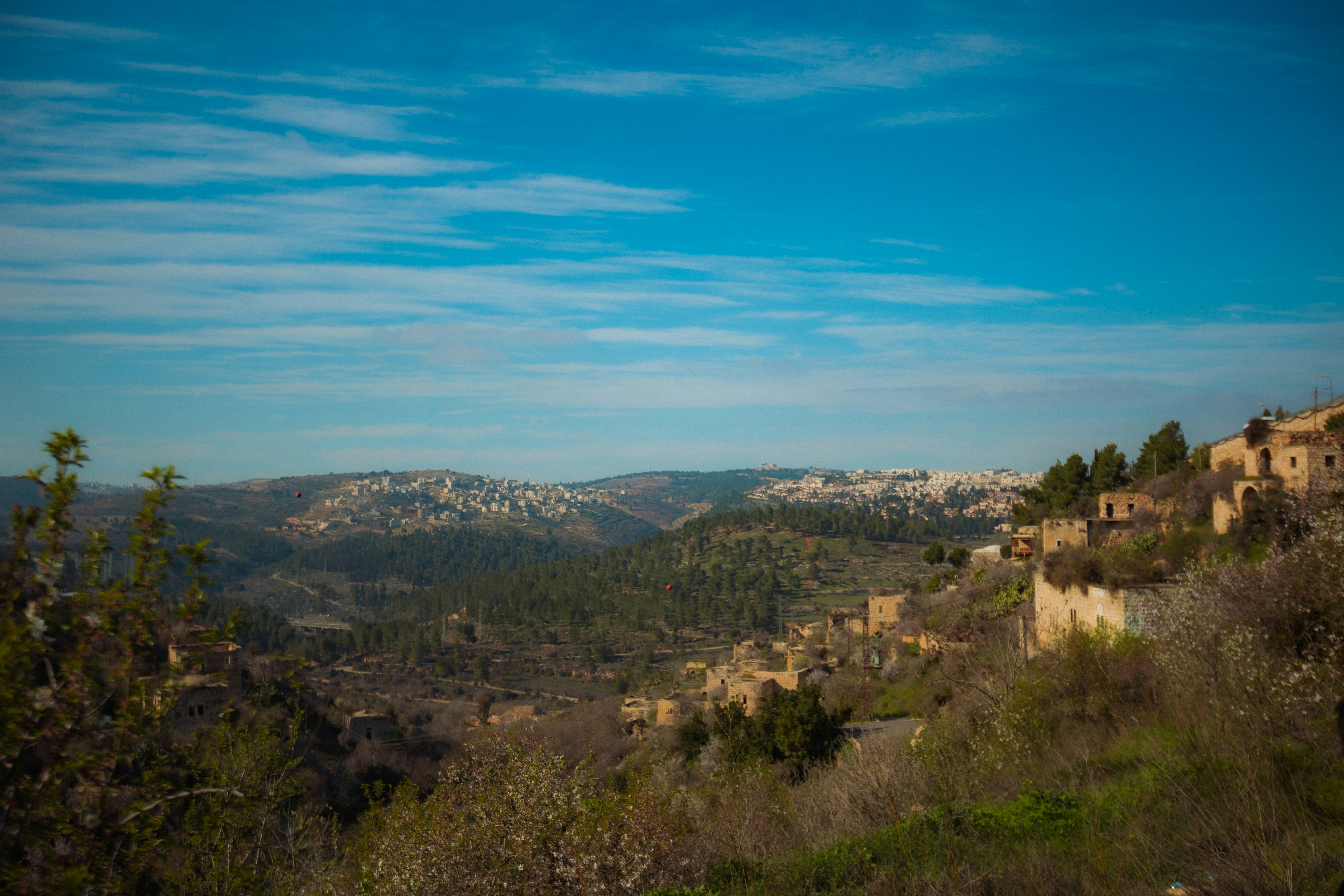 Photo by behindthetmuna