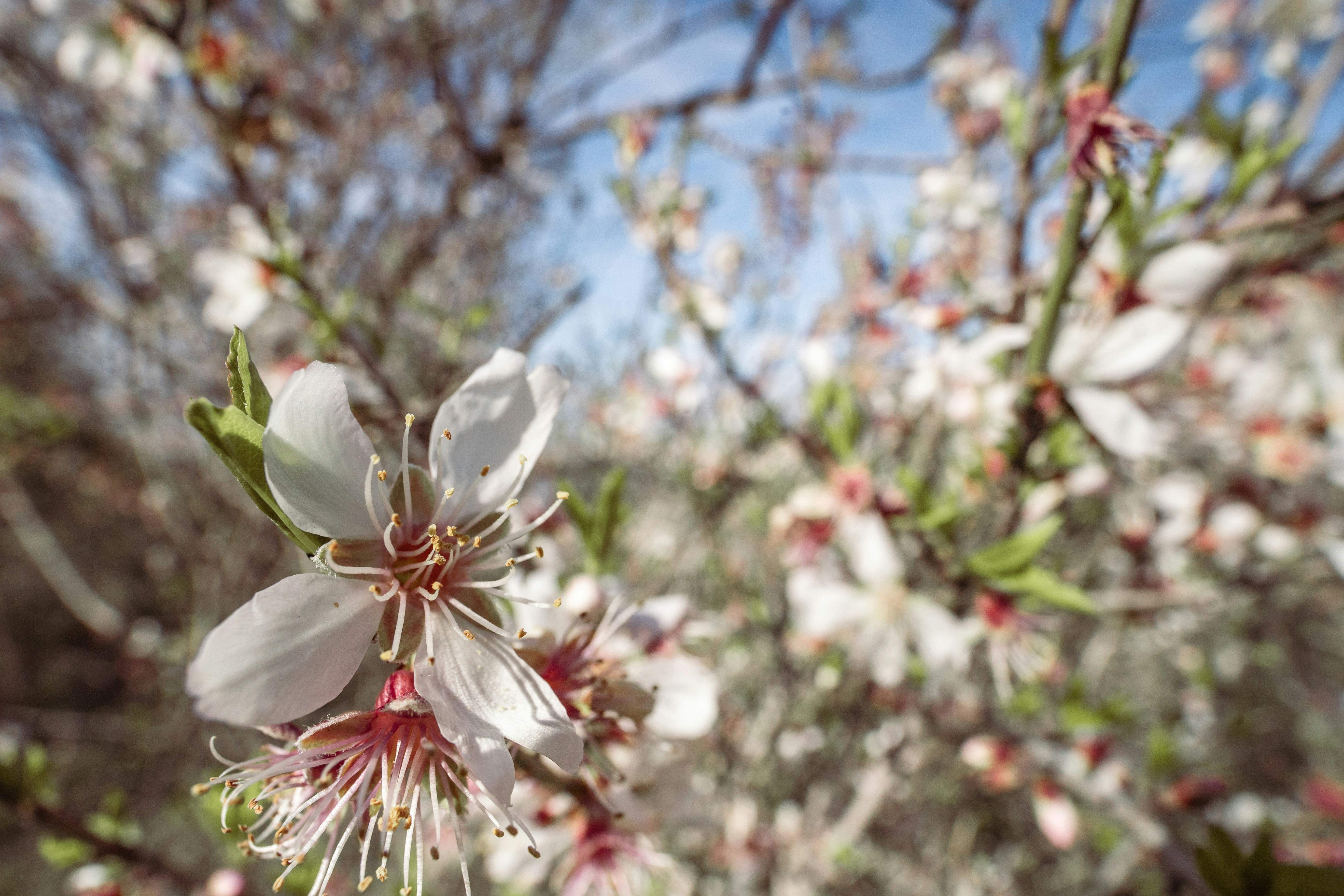 Photo by behindthetmuna