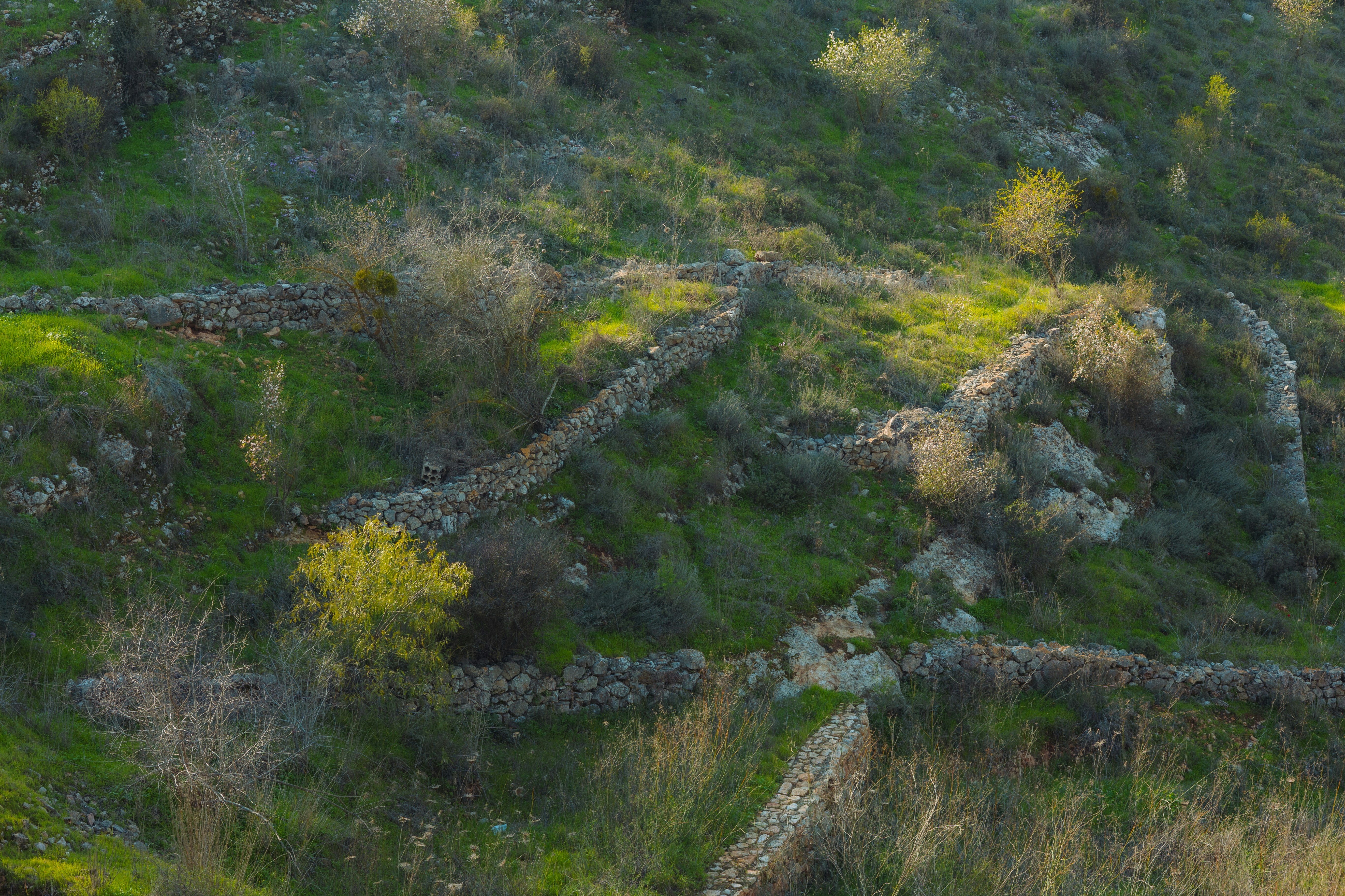 Photo by behindthetmuna