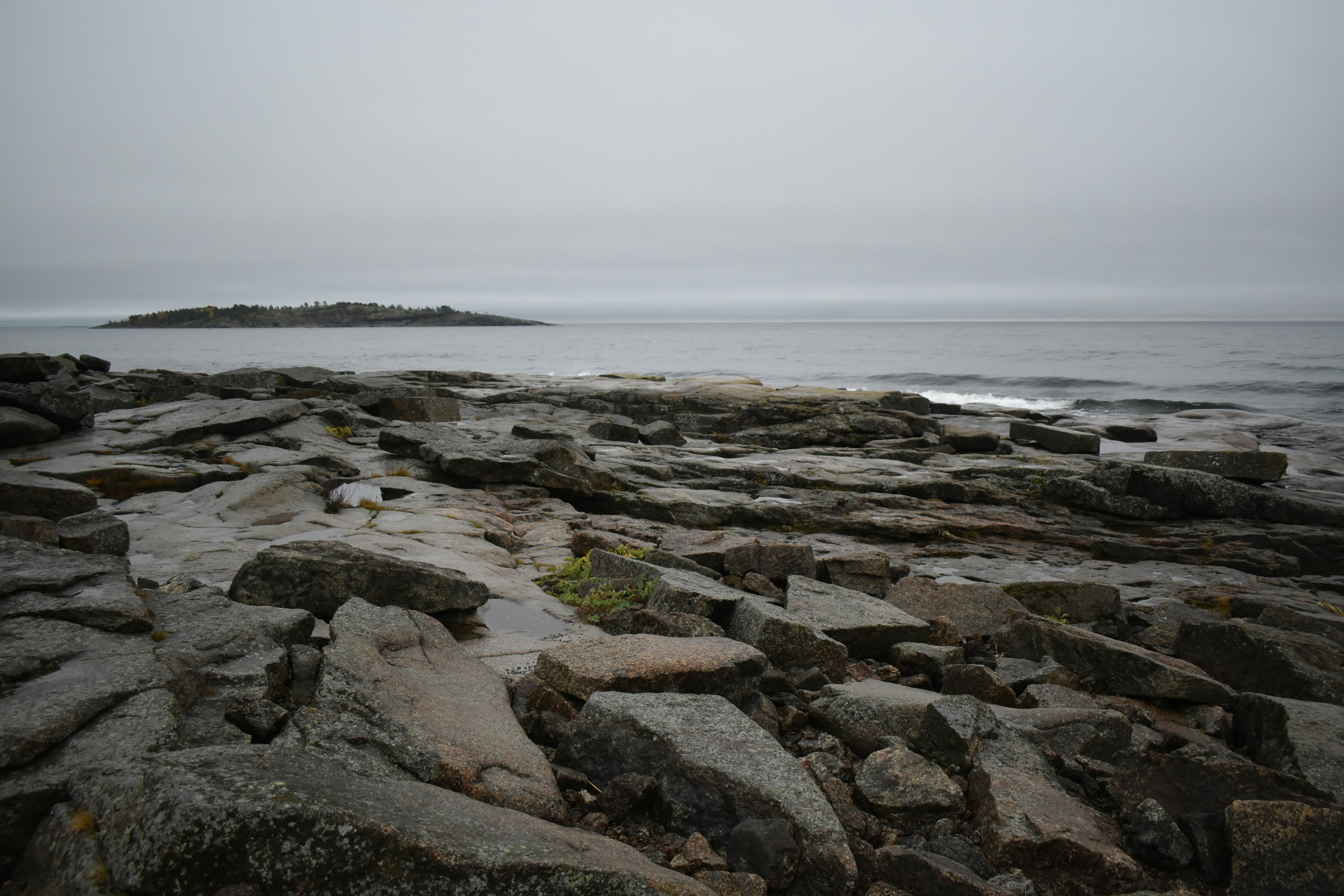 Photo by niloufarmirhadi