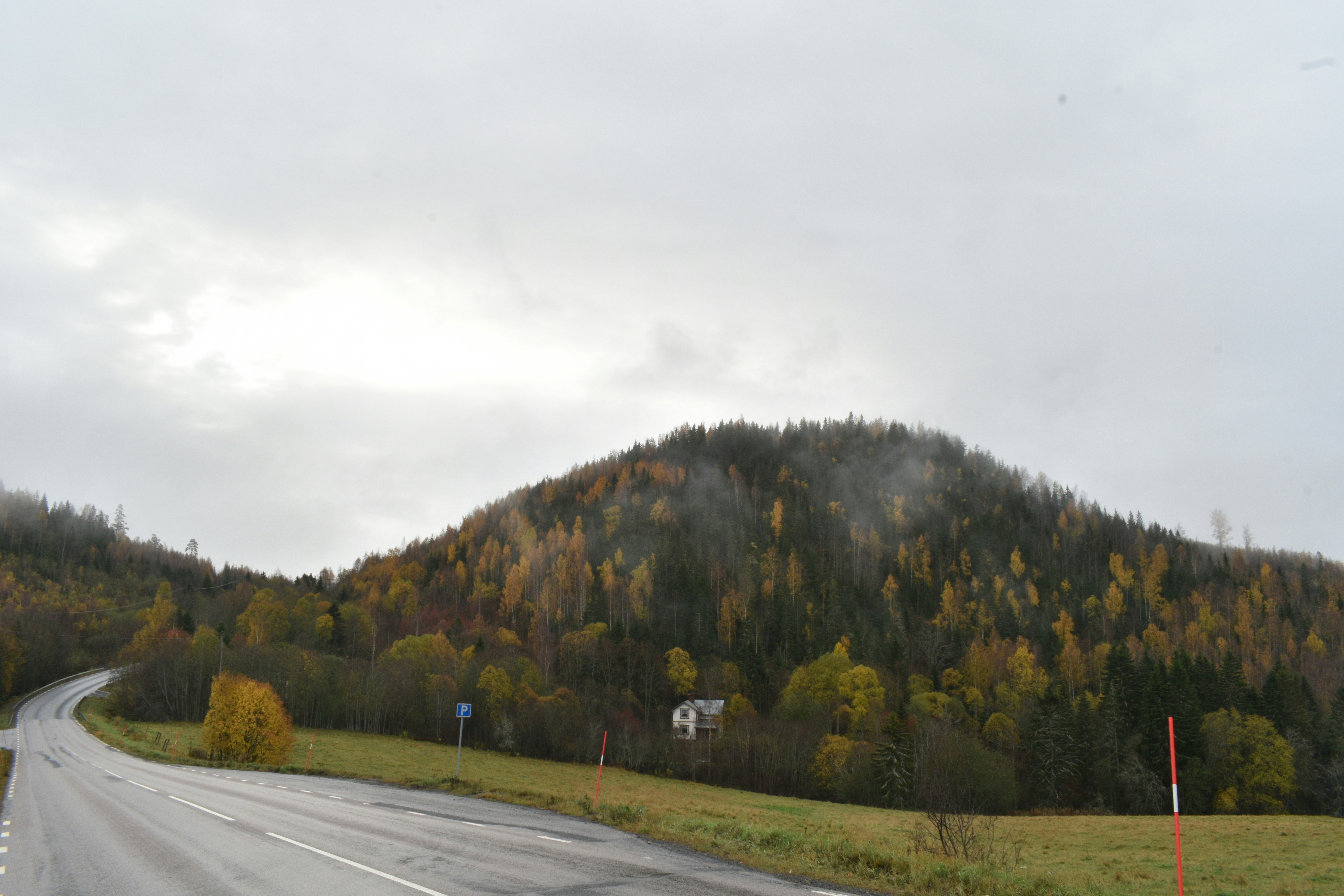 Photo by niloufarmirhadi