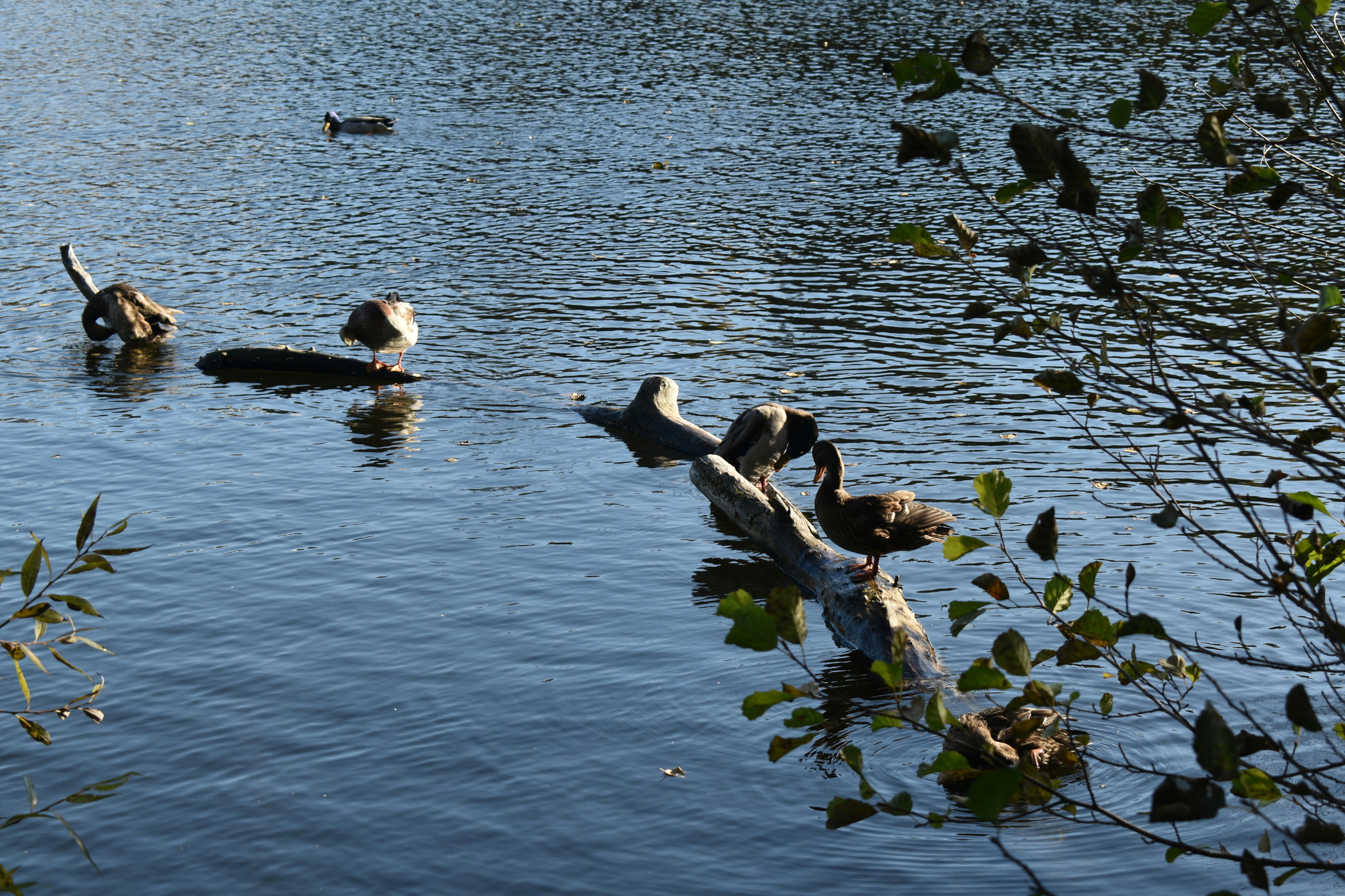 Photo by niloufarmirhadi