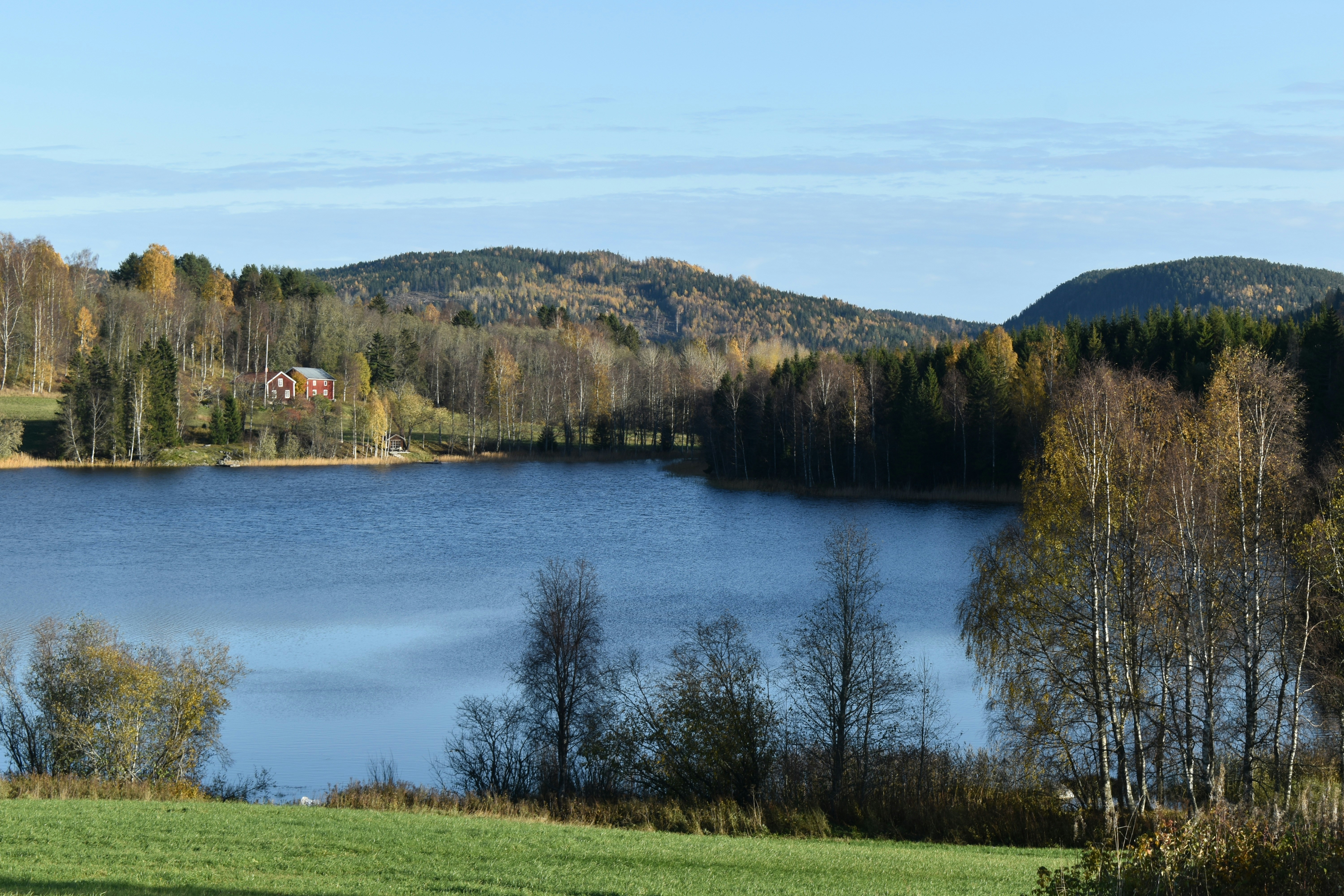 Photo by niloufarmirhadi