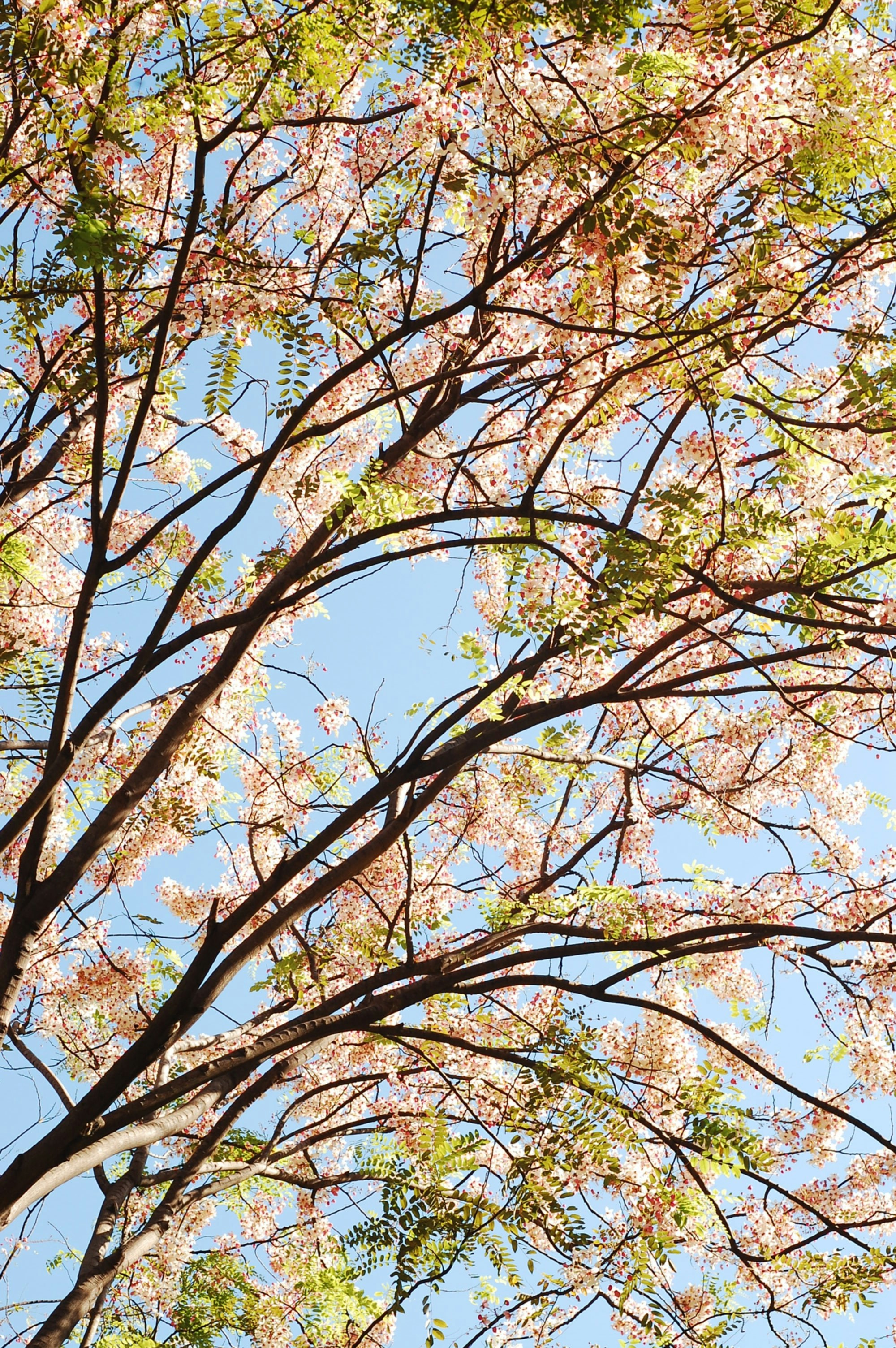 Photo by jefry199709