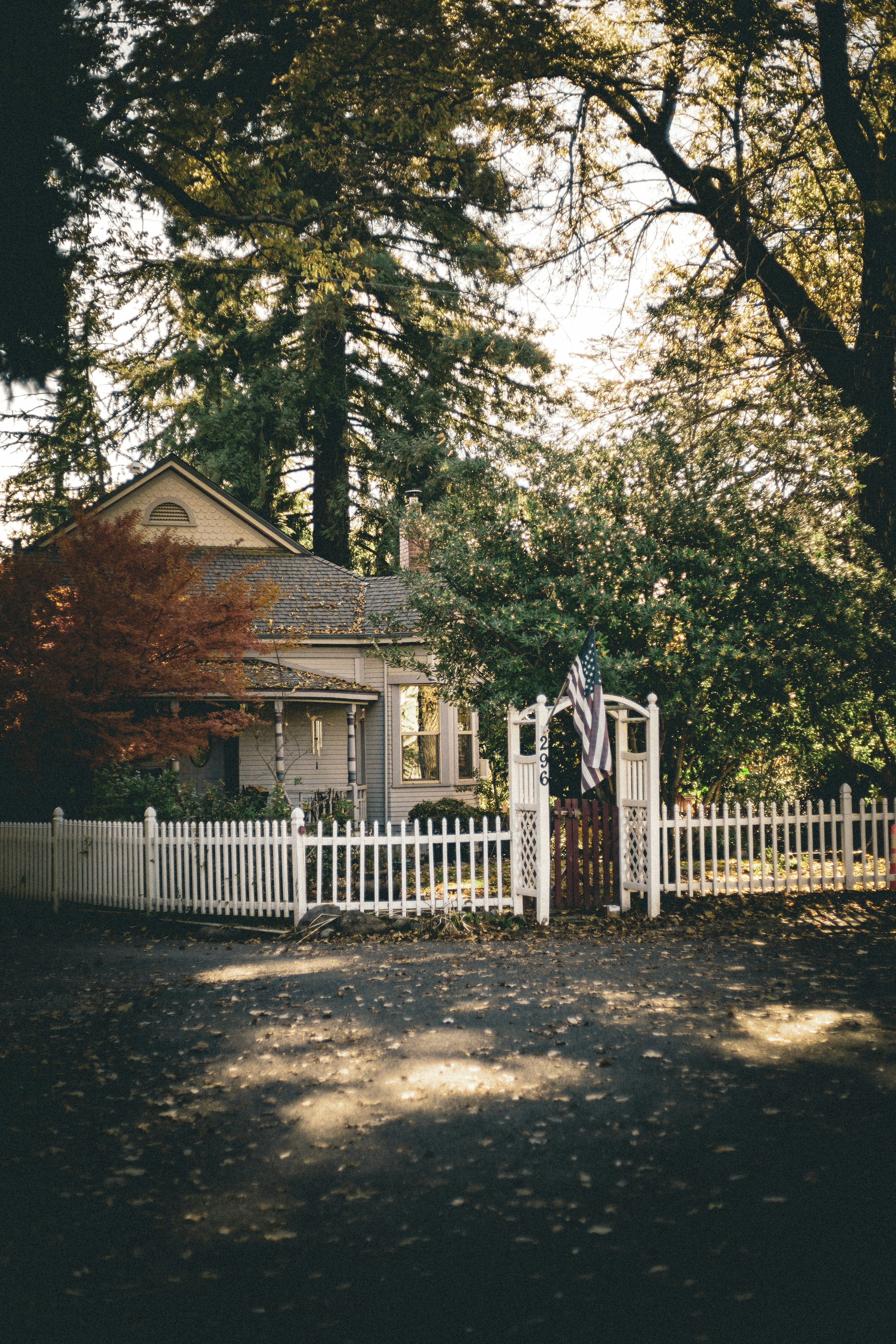 Photo by dundagnabbit