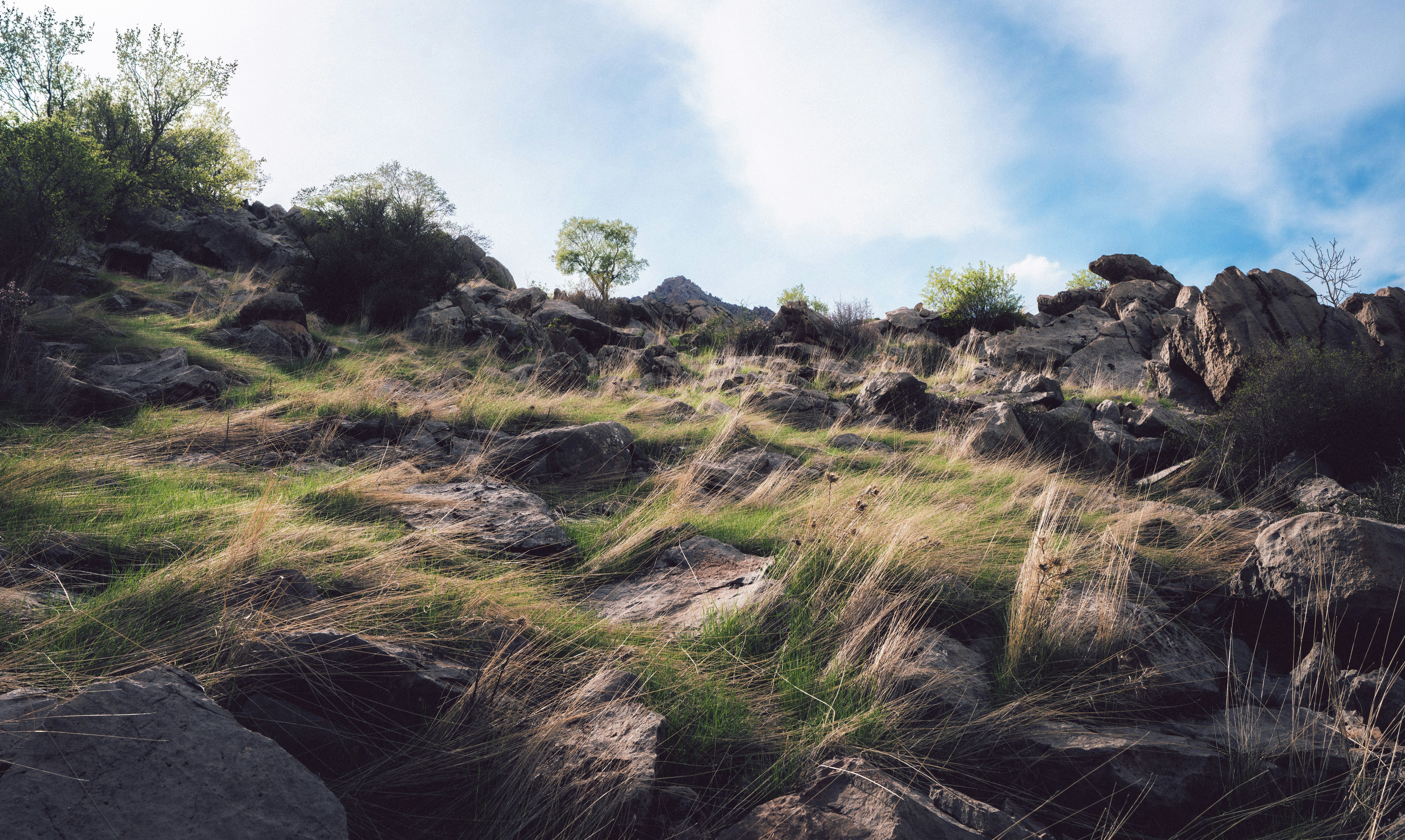 Photo by arianmontazeri