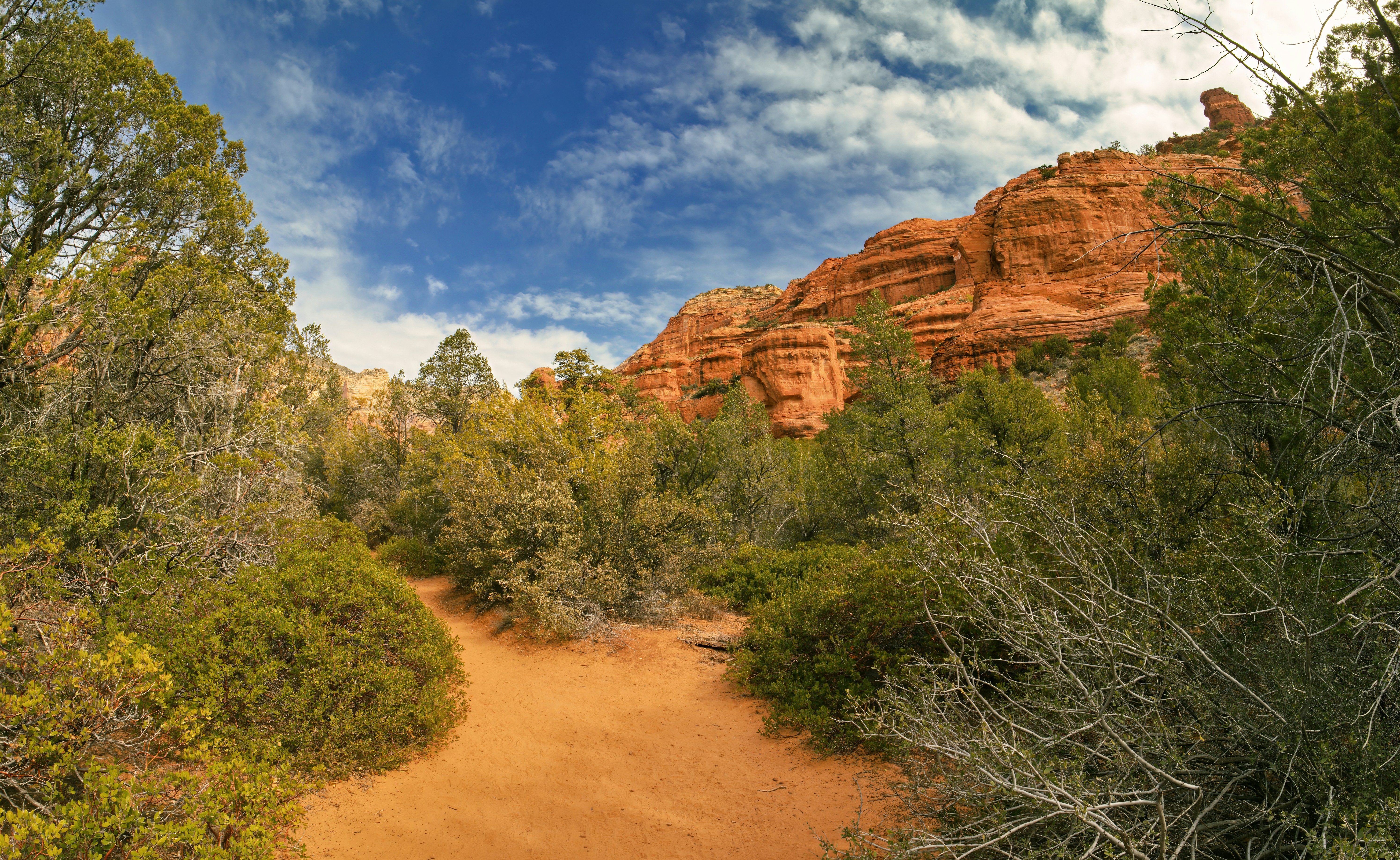 Photo by bullterriere