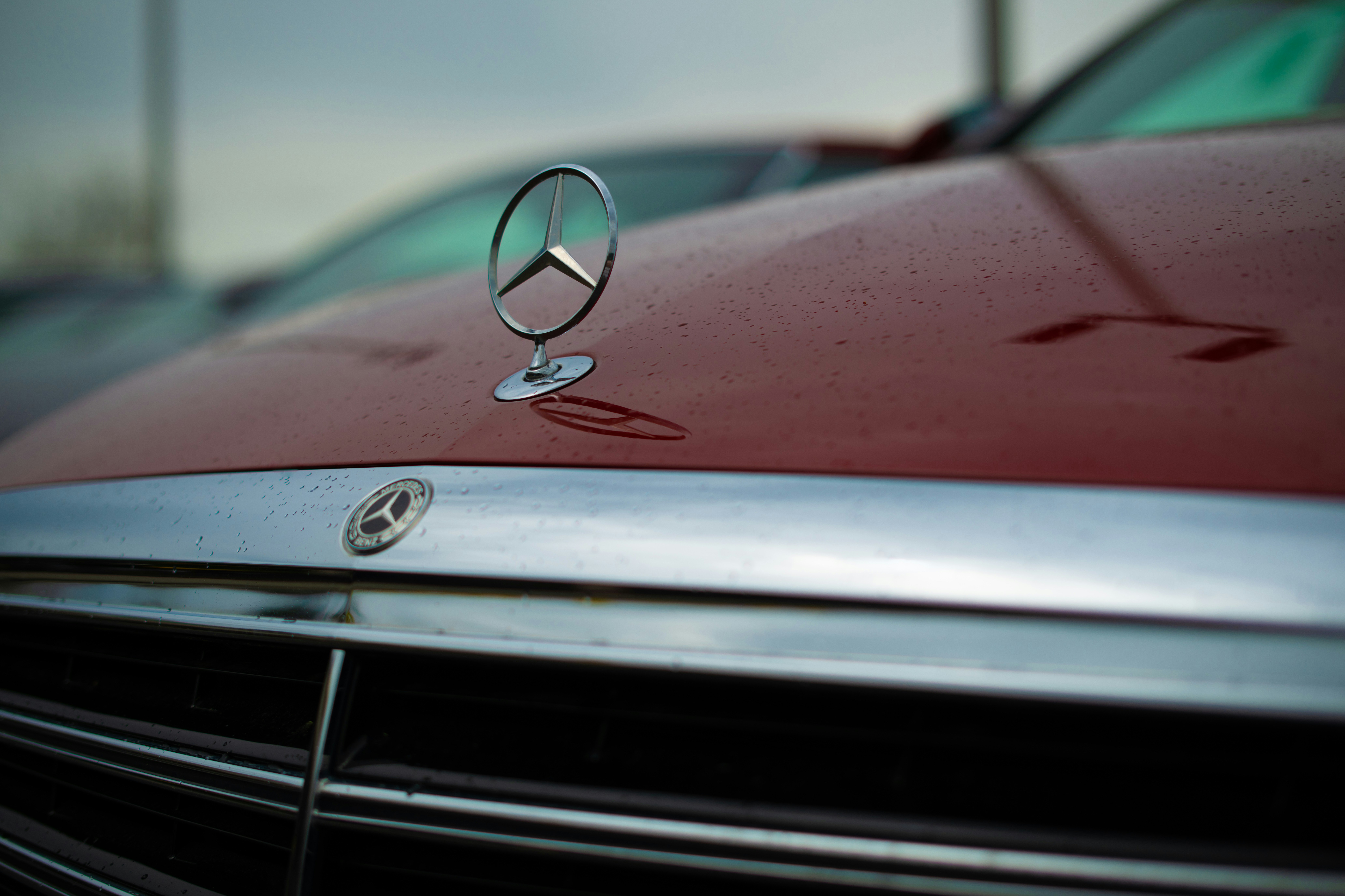 Photo by barrettward