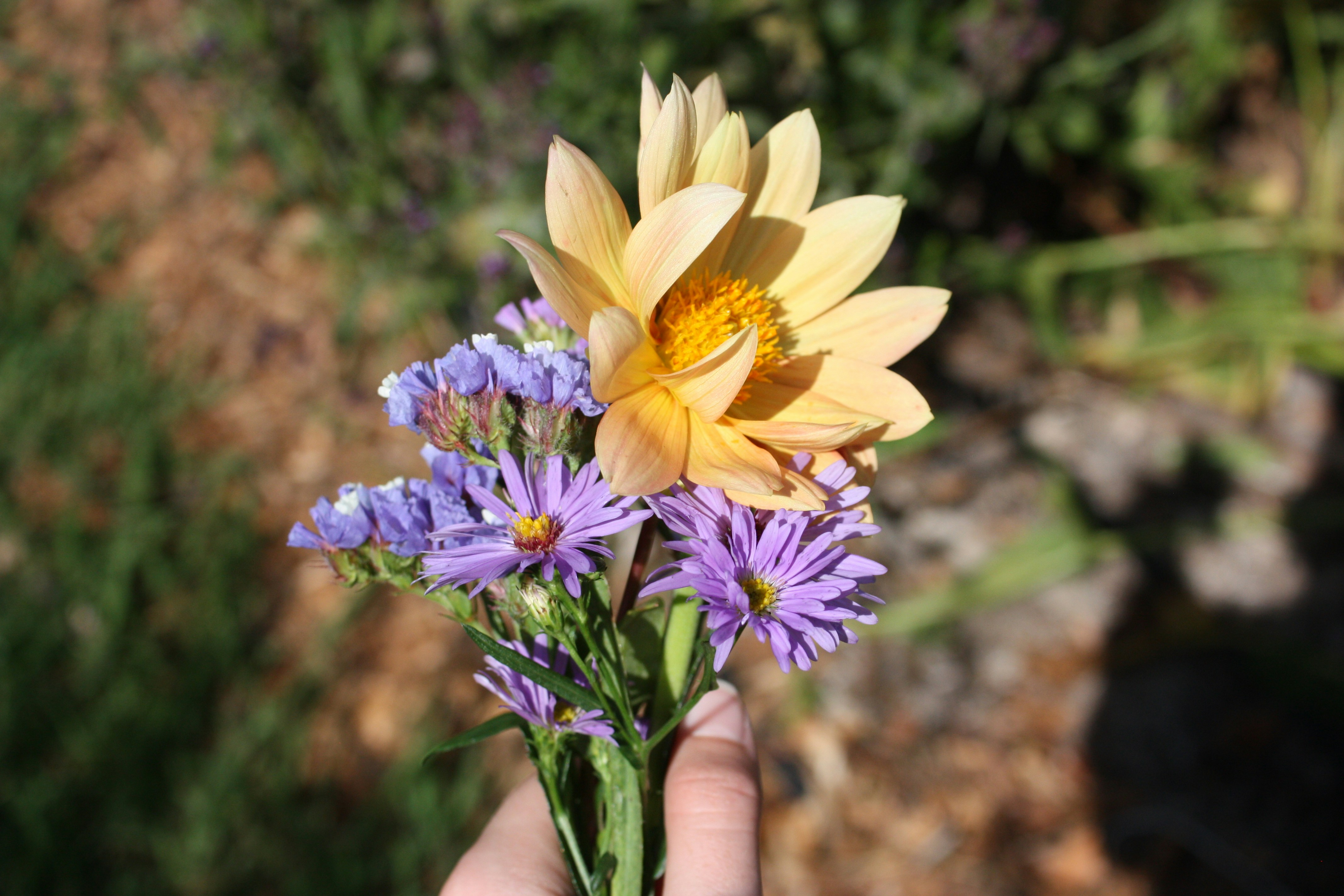 Flowers held up against a green background
