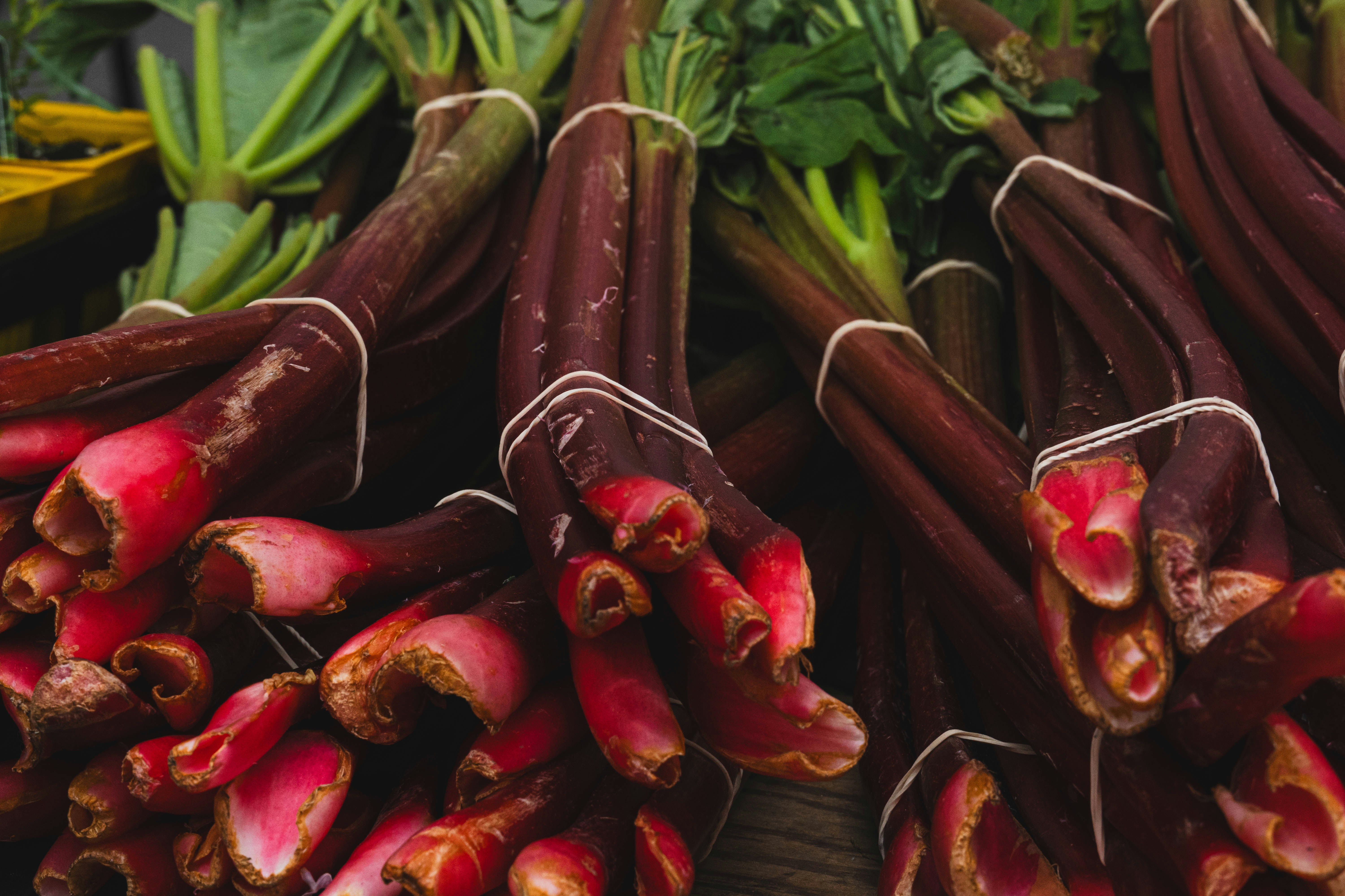 Fresh rhubarb bundles ready for sale., A bunch of rhubarb for sale at Kensington Market, Old Toronto, Ontario, Canada