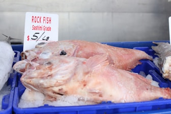 Rock fish on display at a fish market.
