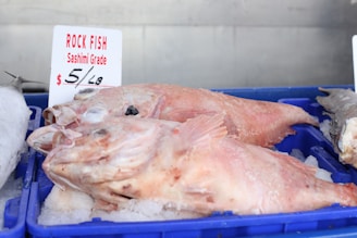 Rock fish on display at a fish market.