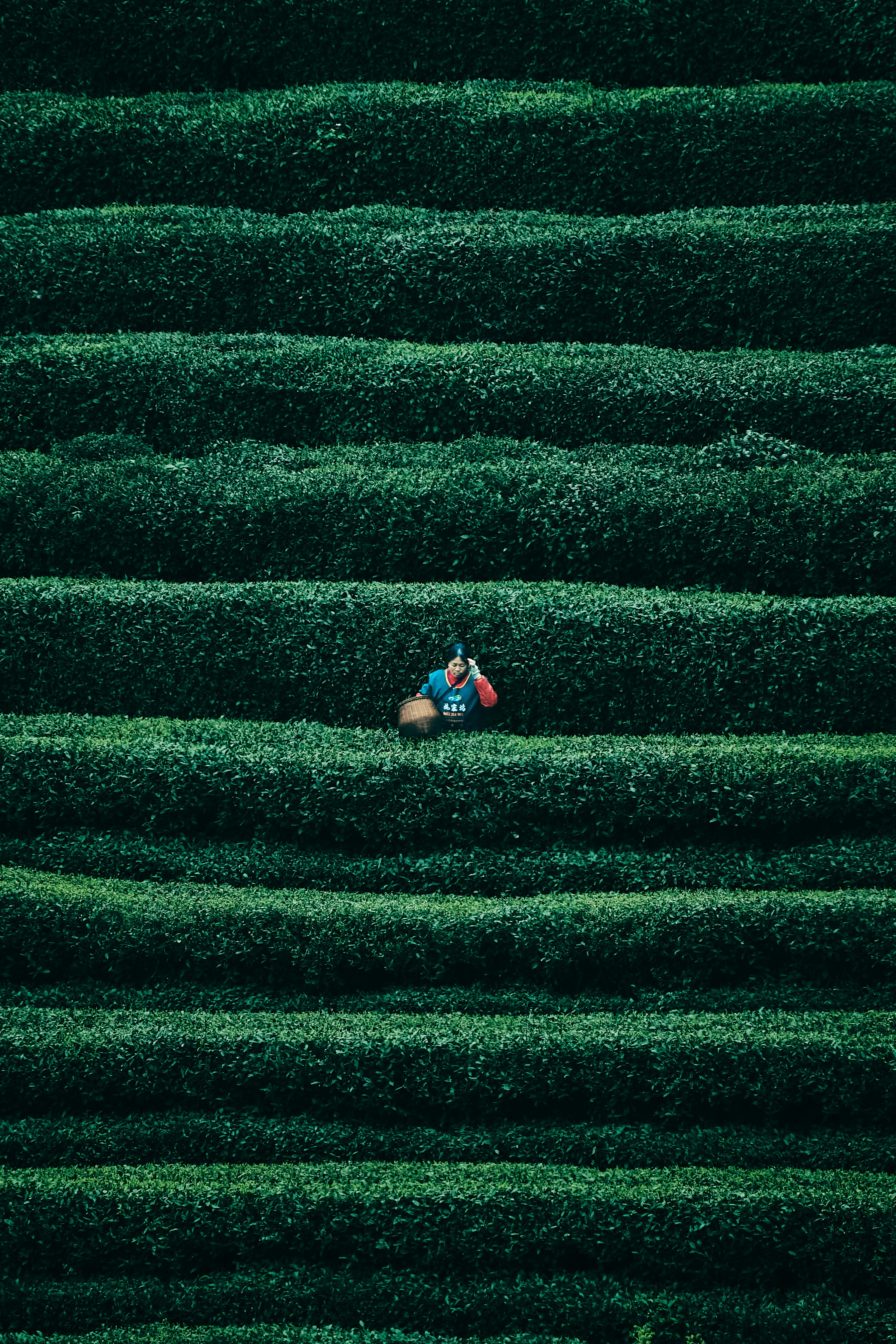 Photo by seelean