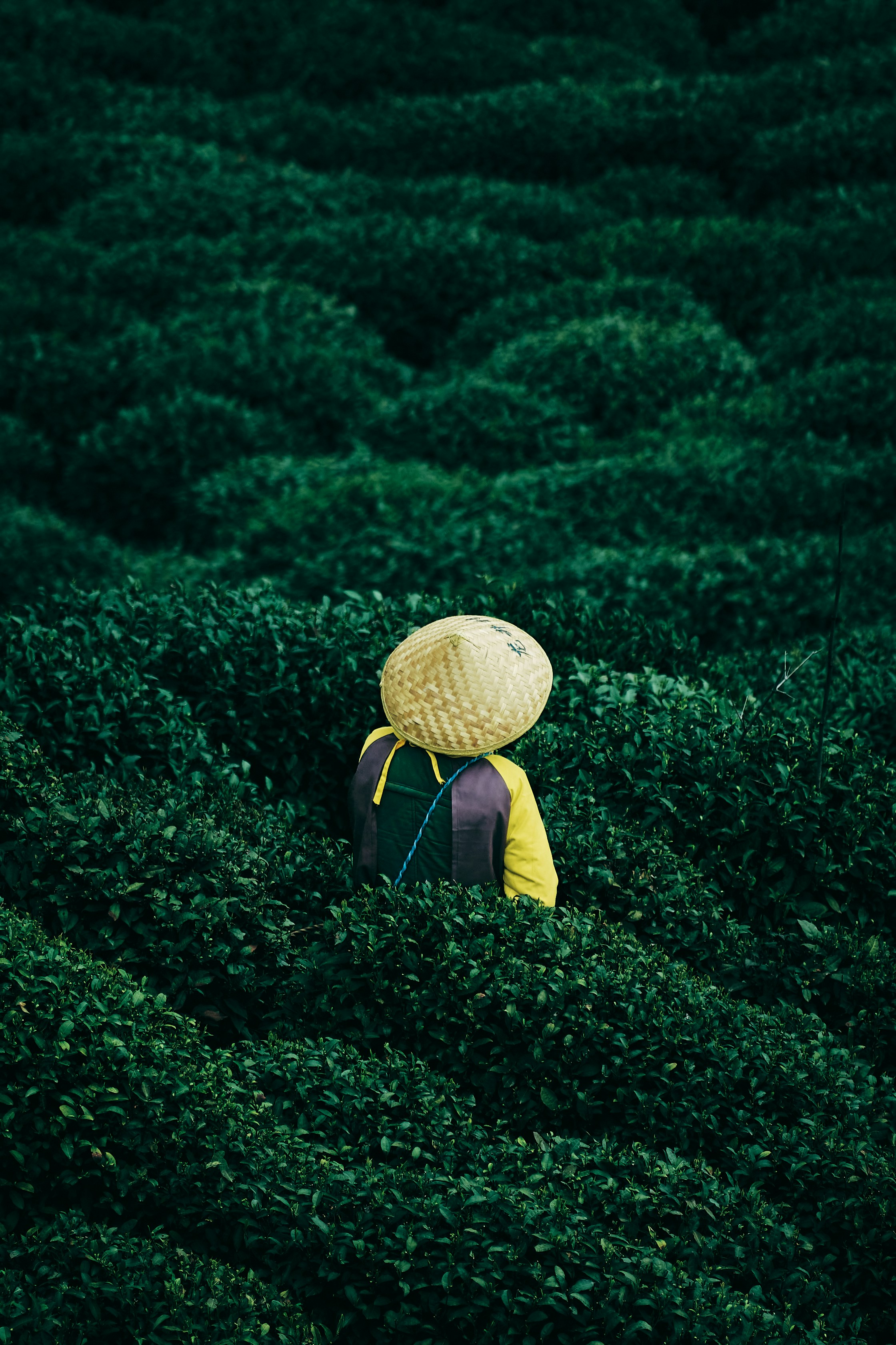Photo by seelean
