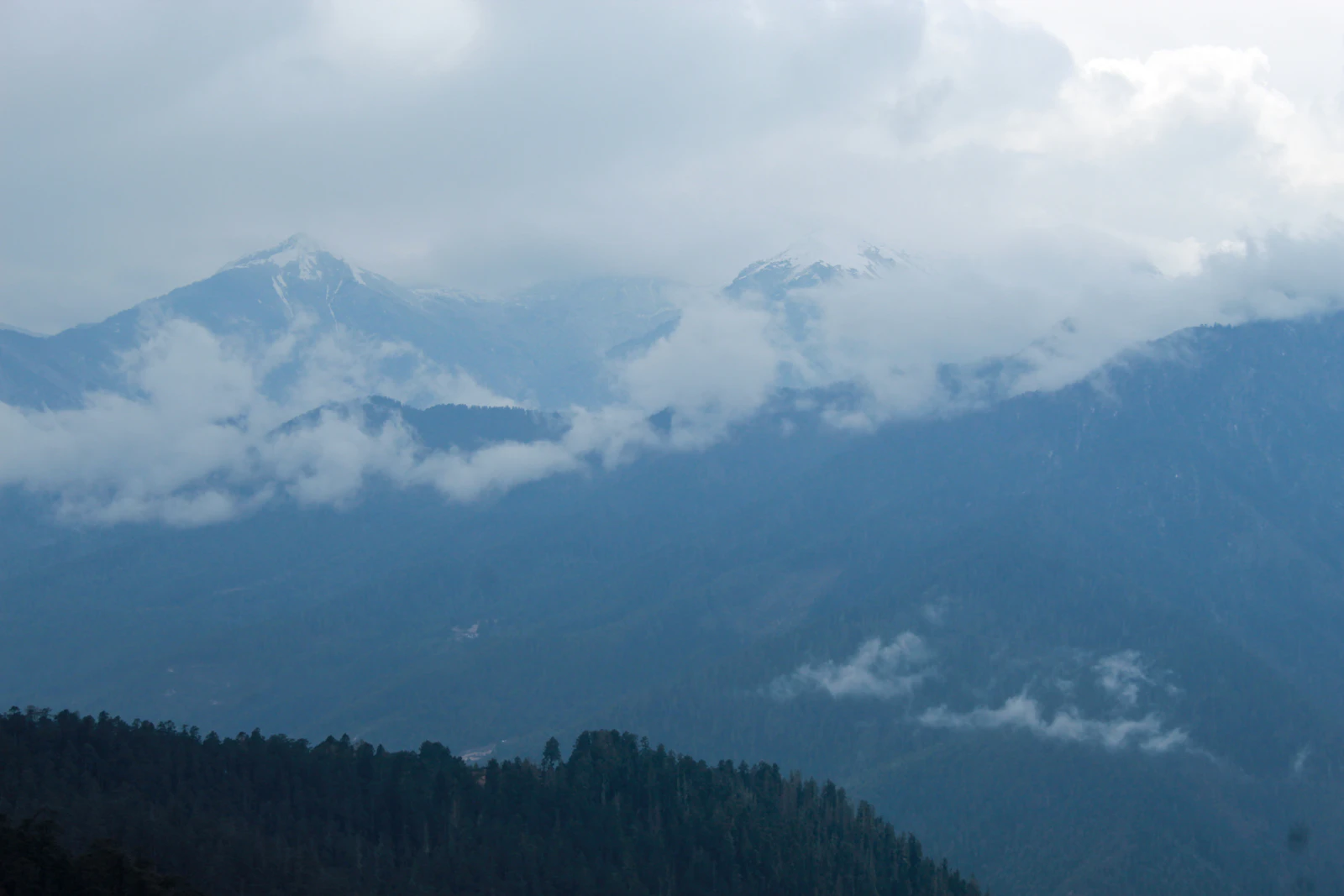 Snow streaked peaks breaking through cloud above dark forested ridges, seen from the Chele La pass road in Paro
