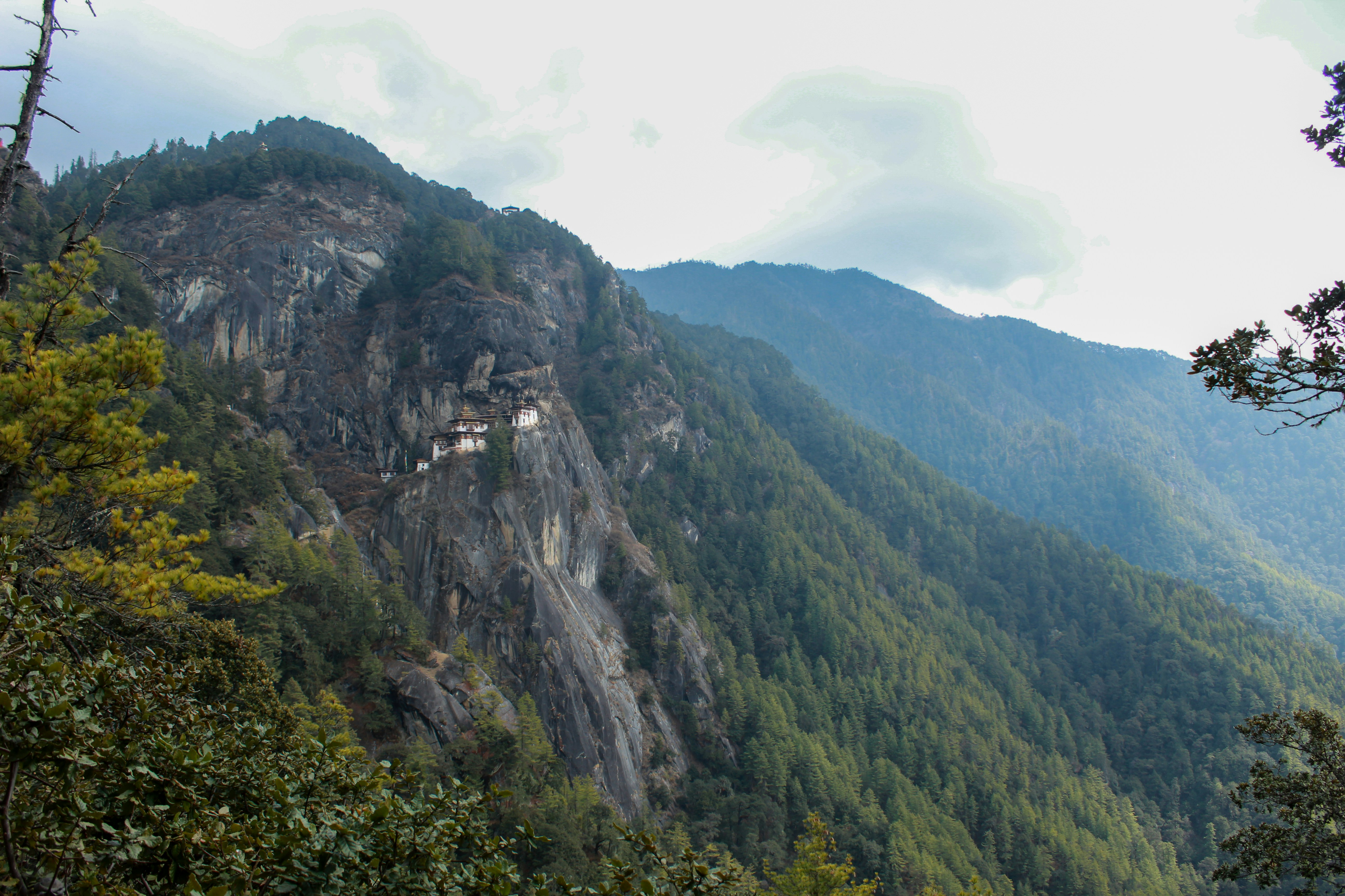 Photo by sujanmongar