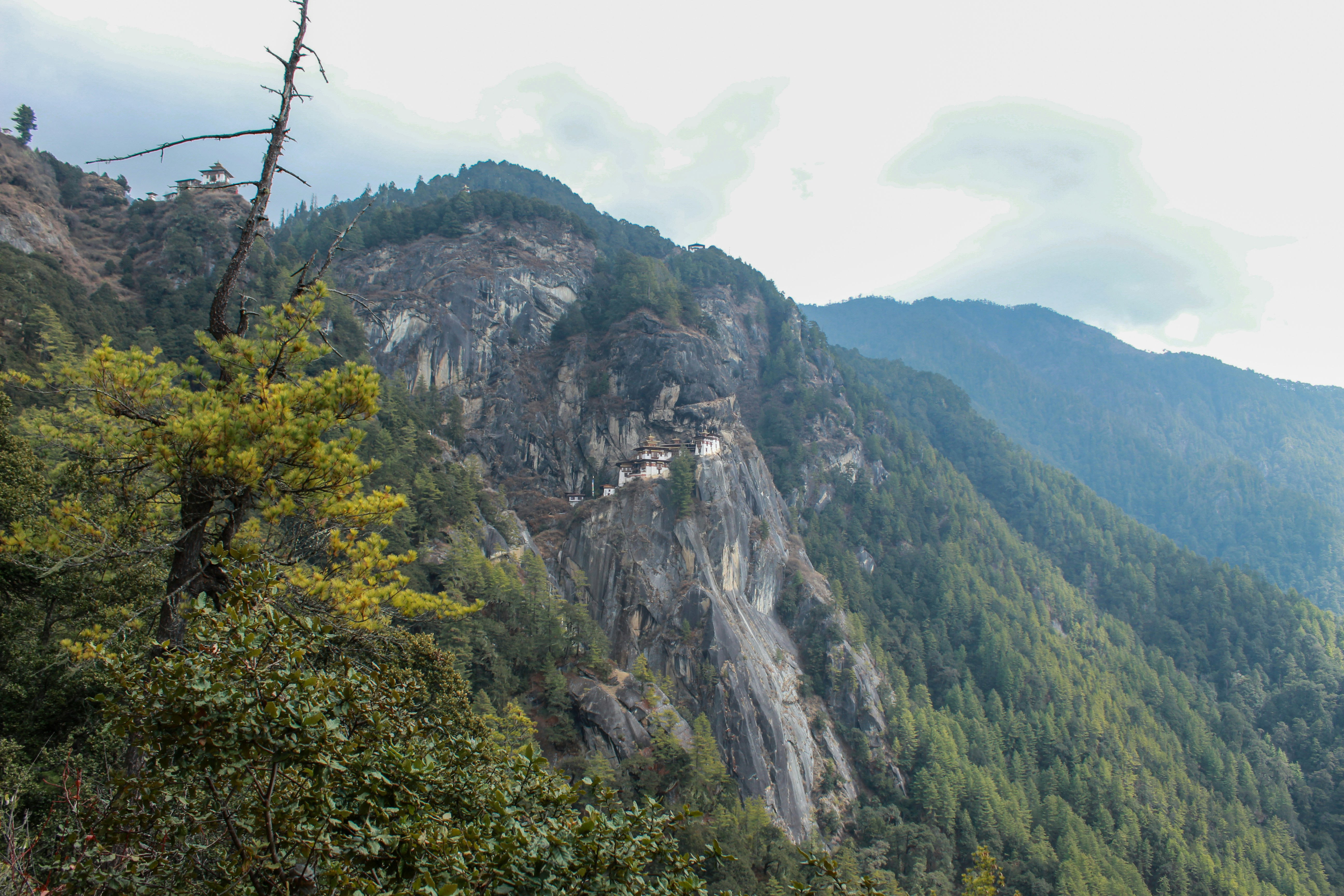 Photo by sujanmongar