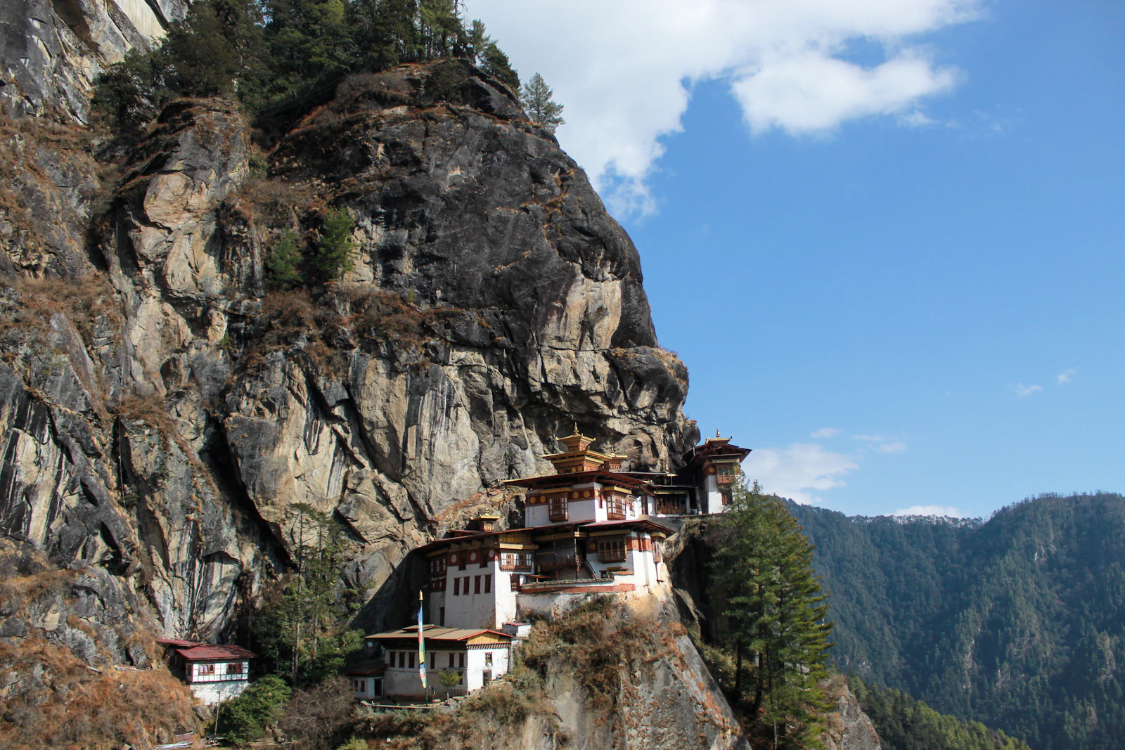 Taktsang monastery fixed to its sheer granite cliff above the pine forest, seen across the gorge from the trail