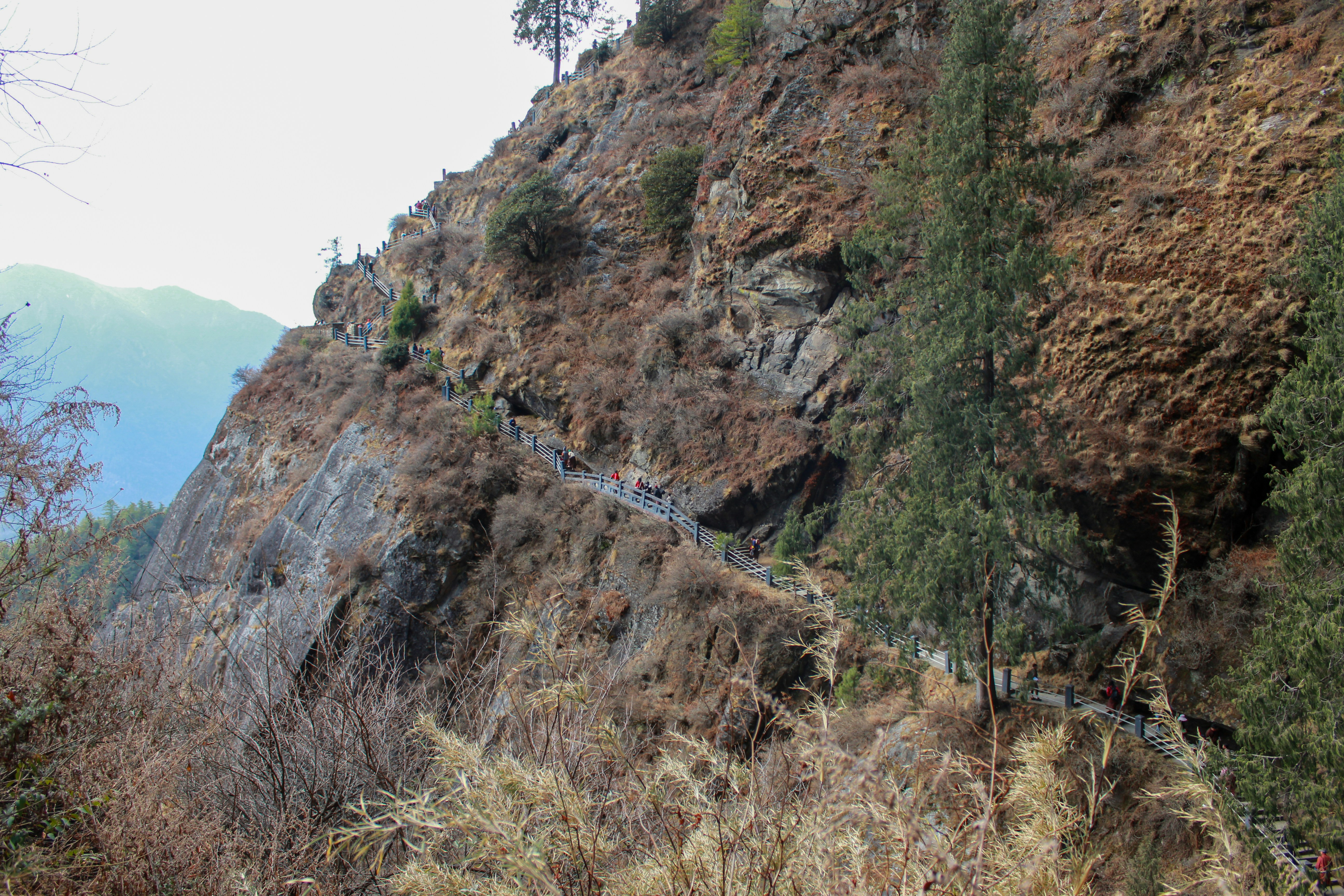 Photo by sujanmongar