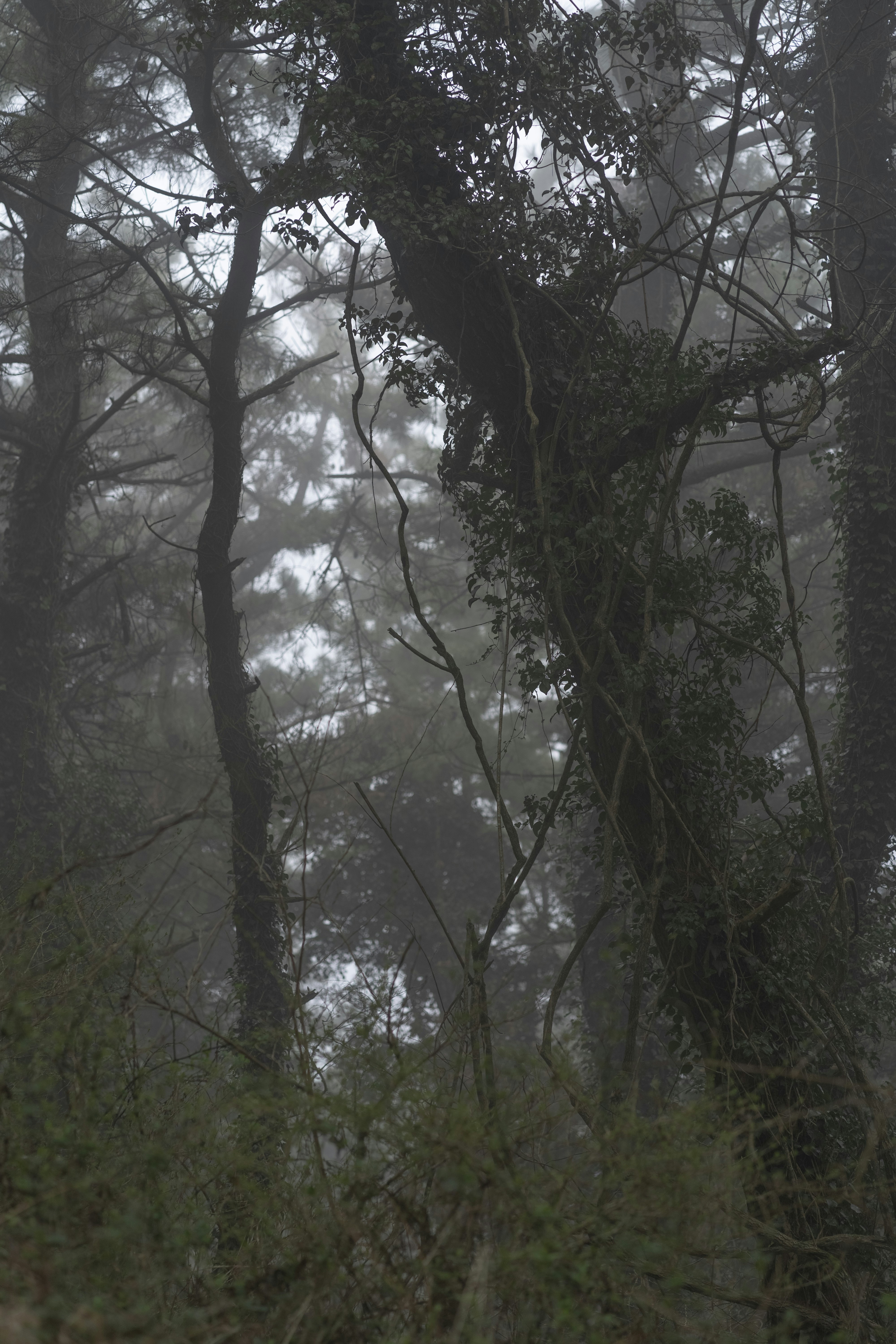 Photo by nunnunannalala