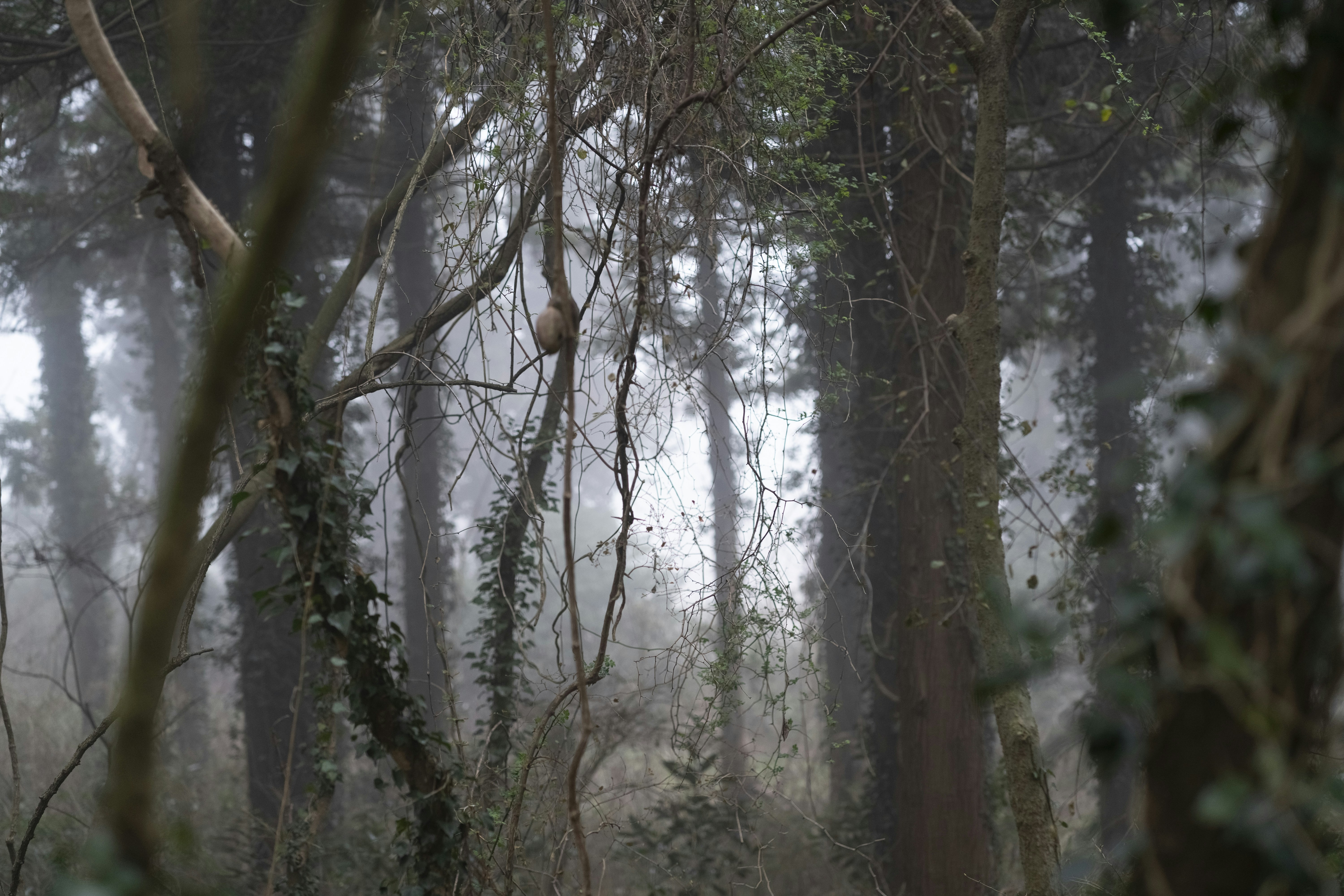 Photo by nunnunannalala