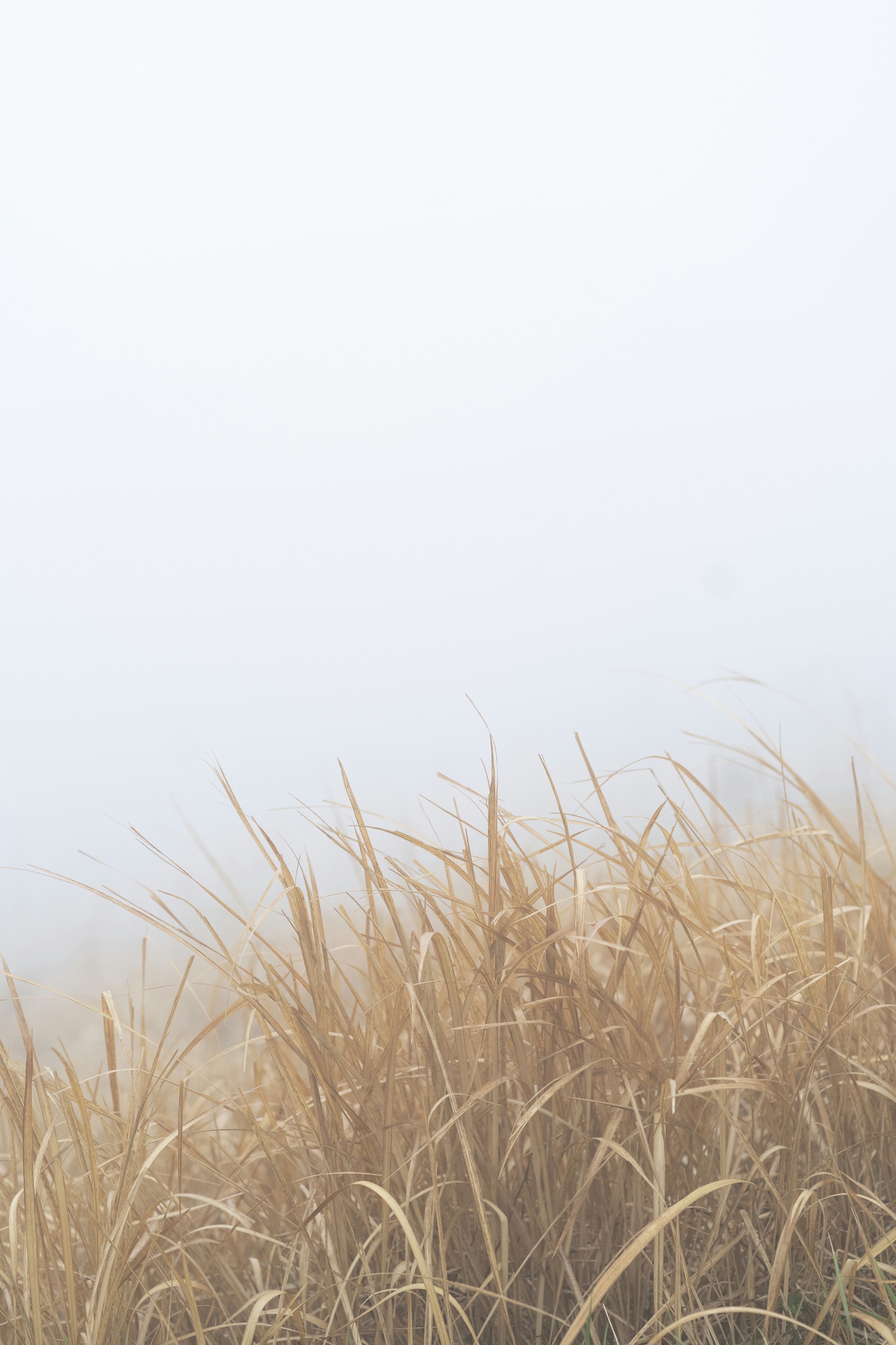 Photo by nunnunannalala