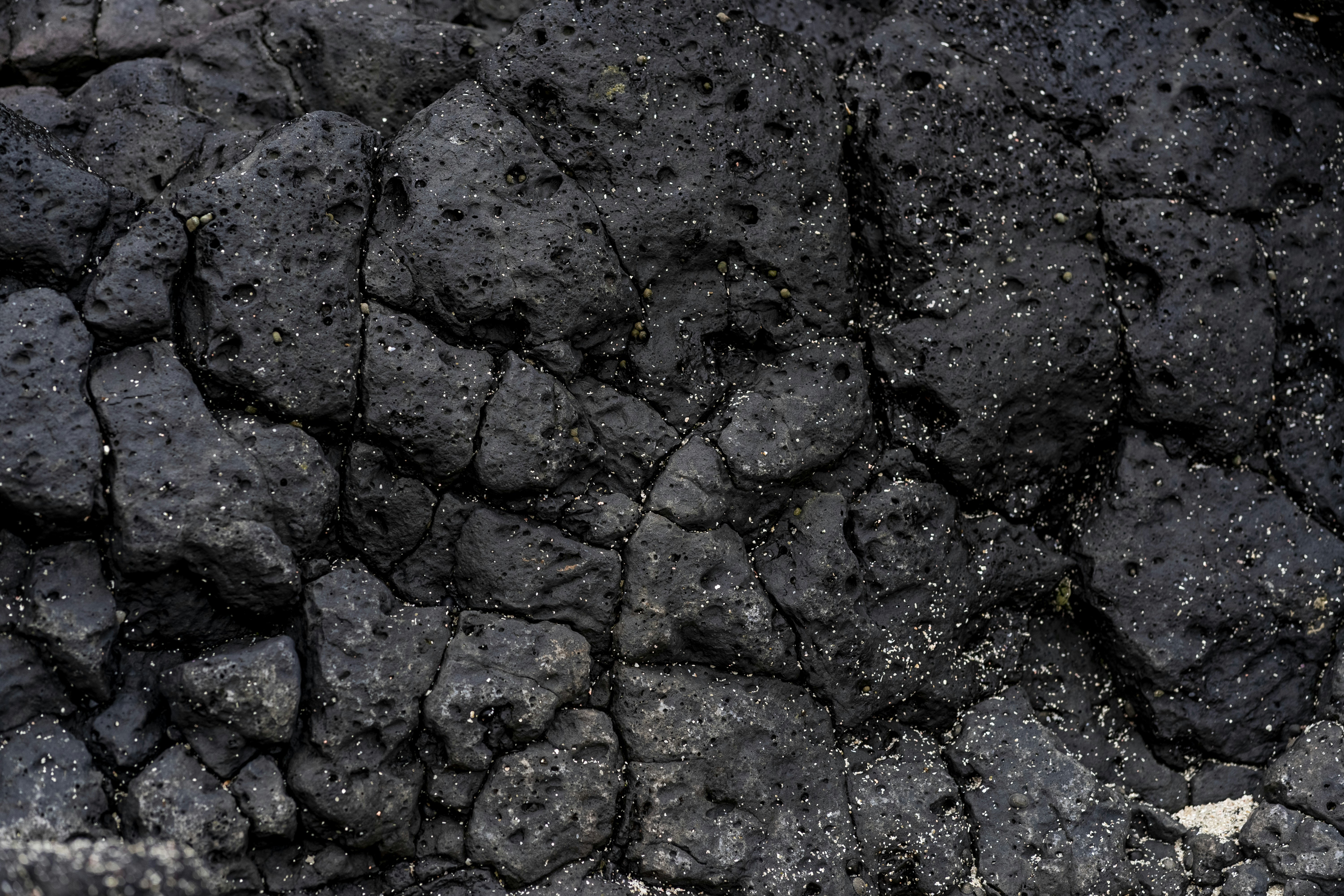 Photo by nunnunannalala