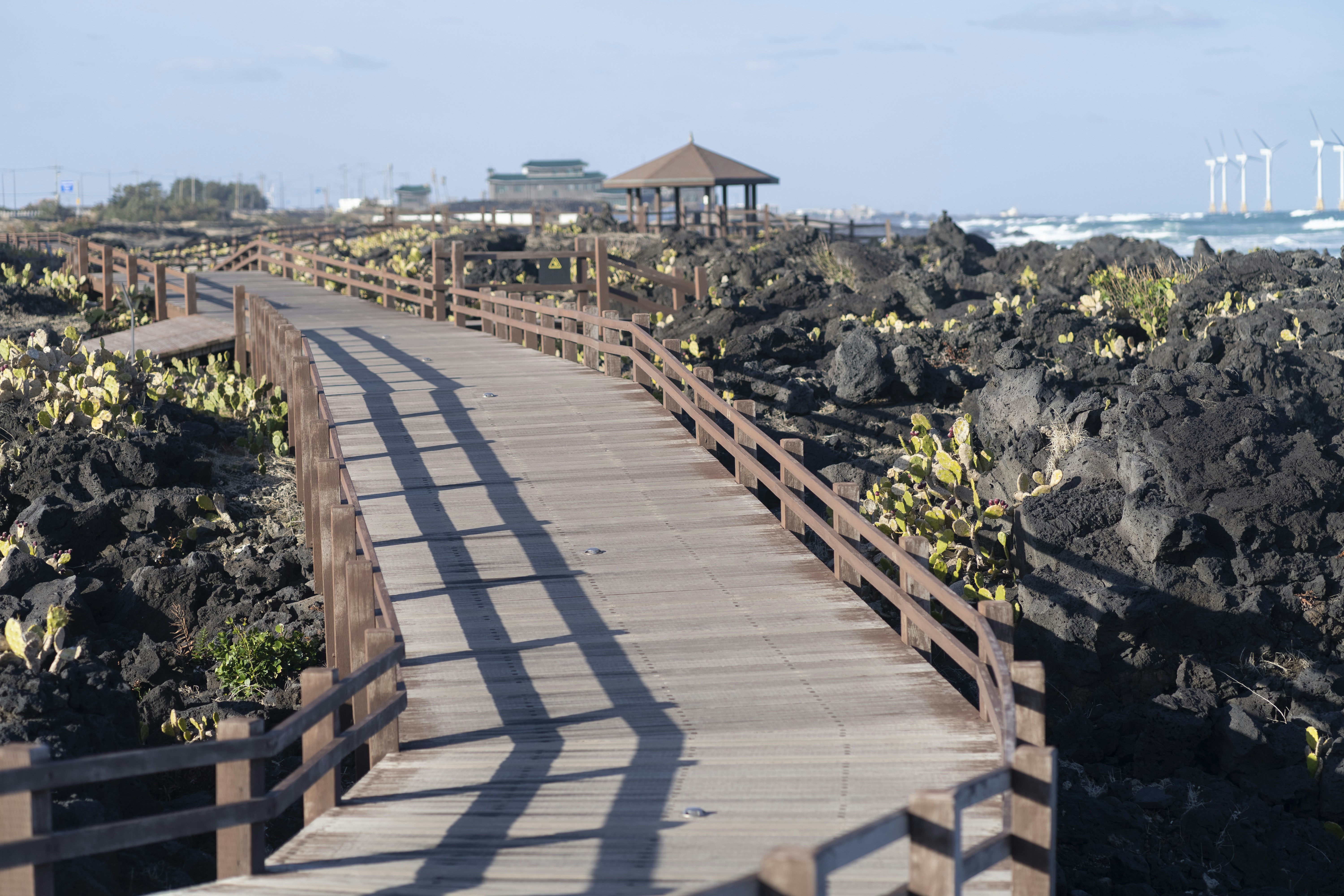 Photo by nunnunannalala