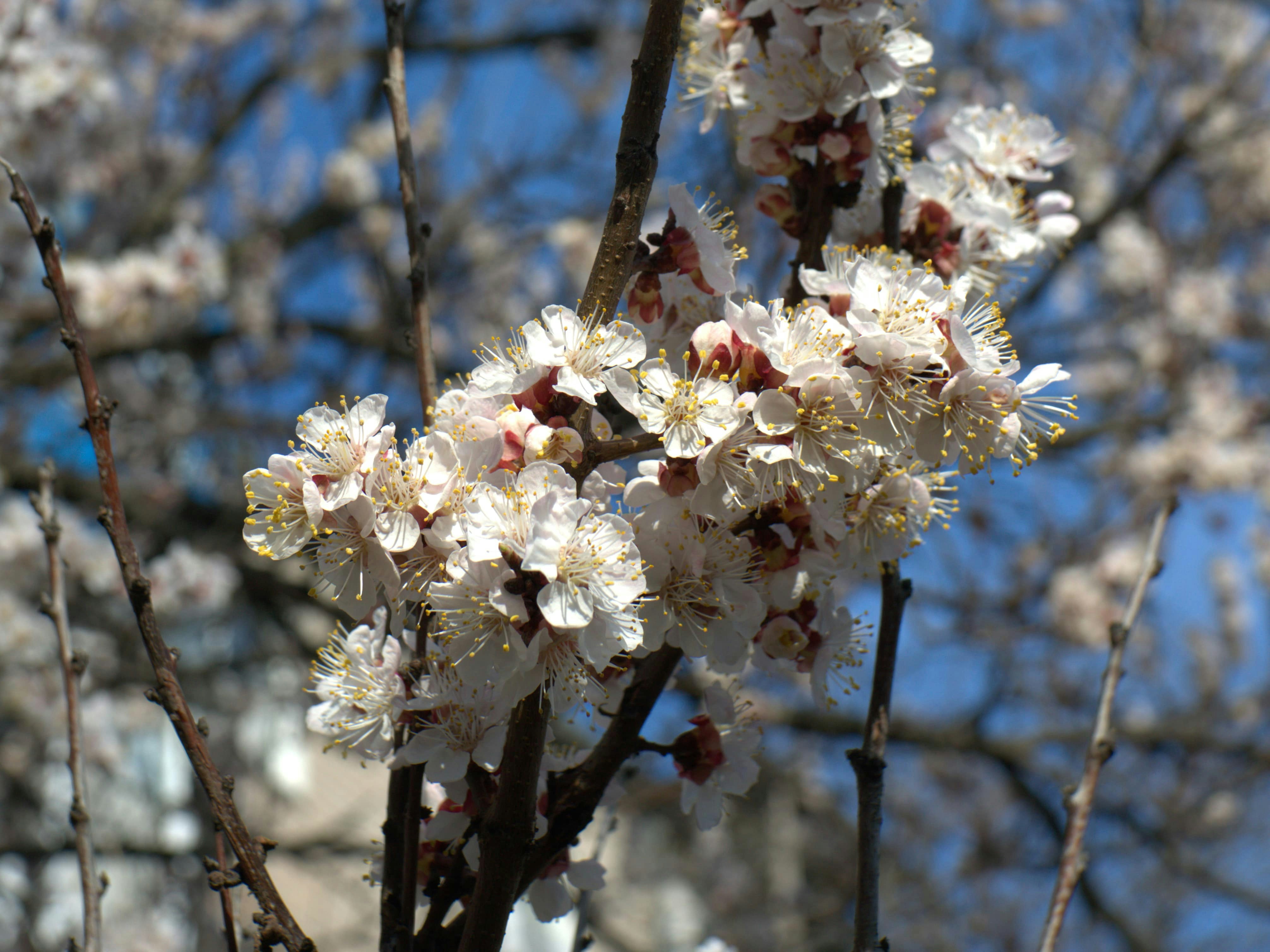 Photo by voloshechka