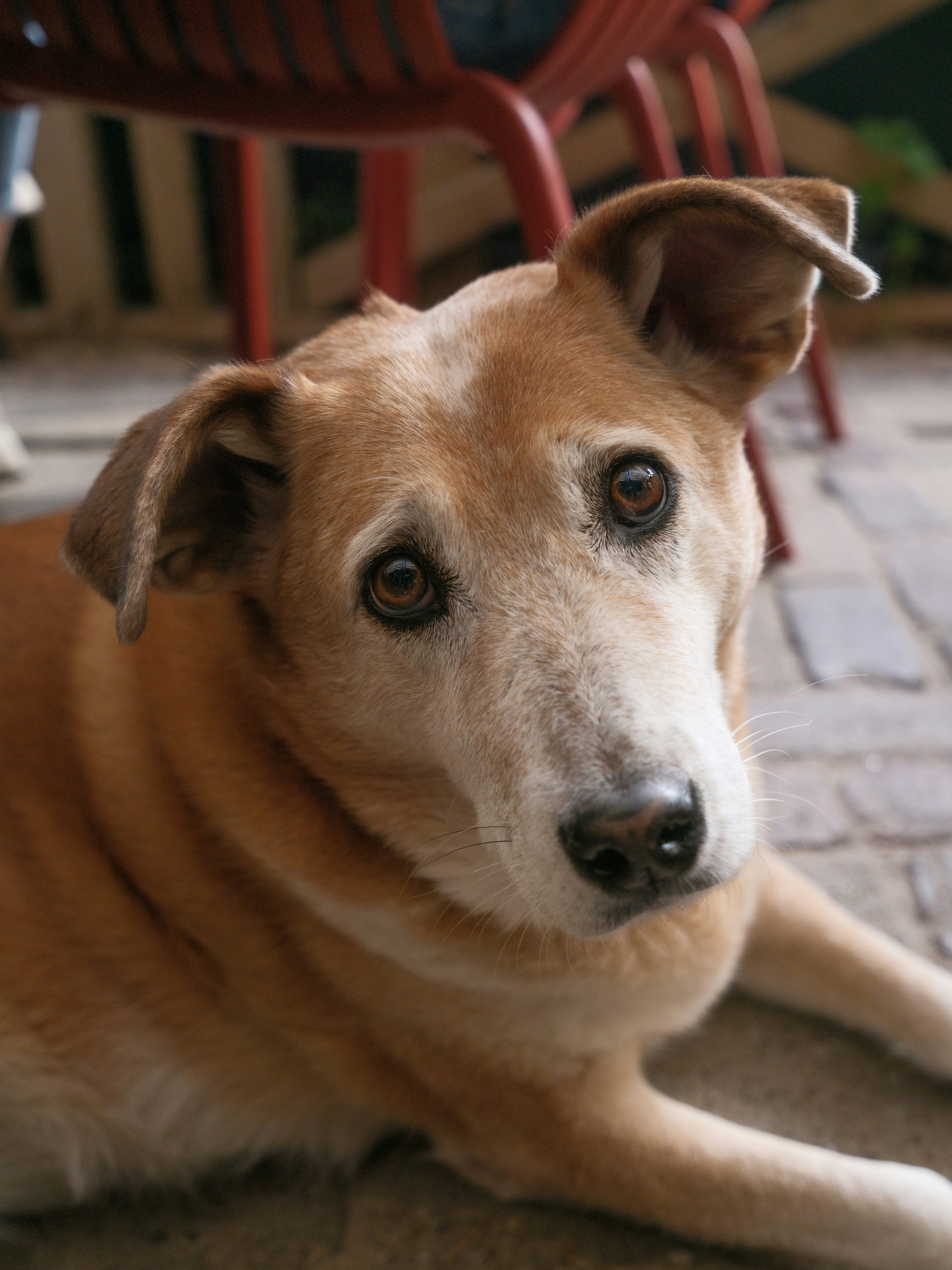 Photo by haberdoedas