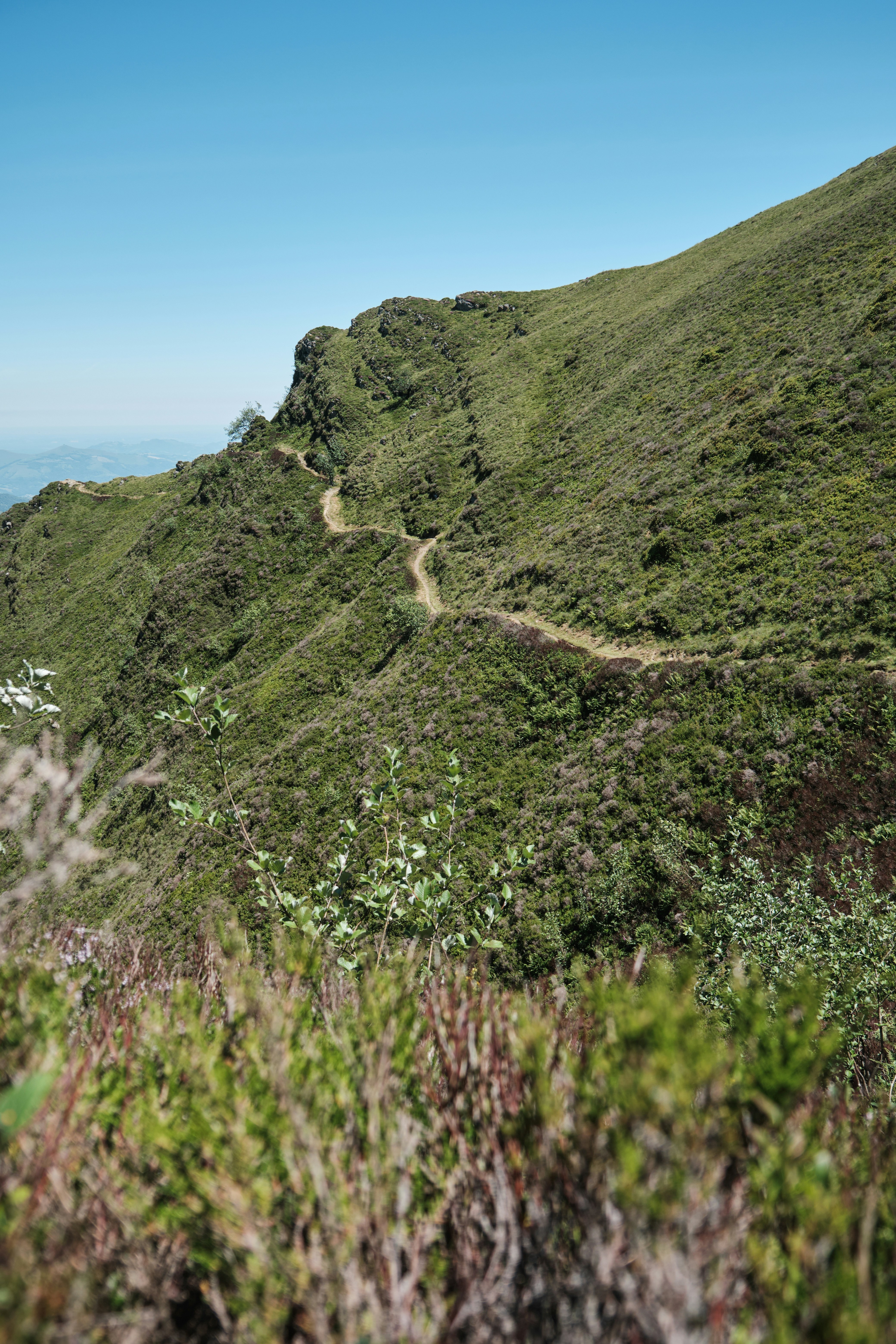 Un sendero sinuoso asciende por una exuberante montaña verde.