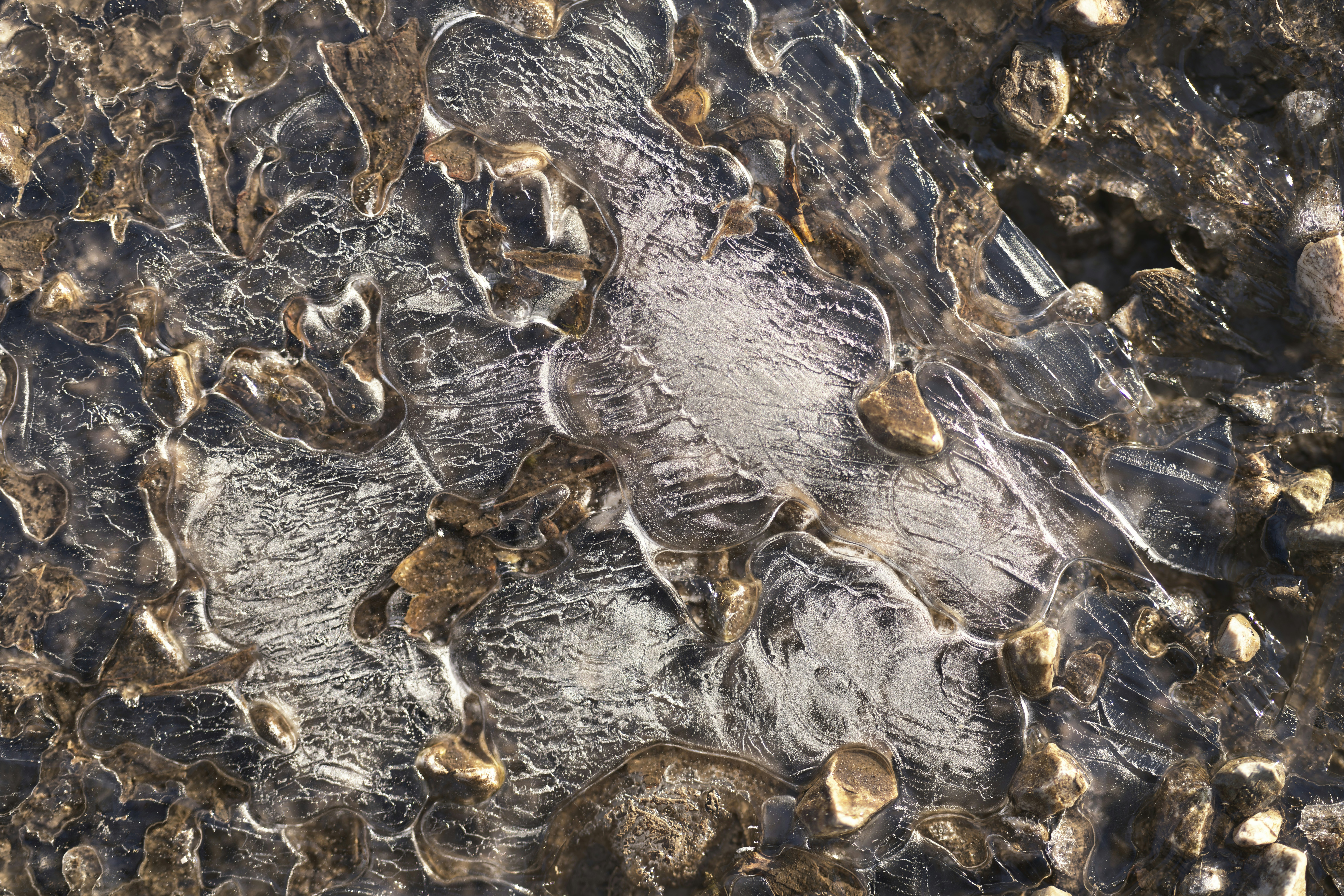 Photo by simon_berger