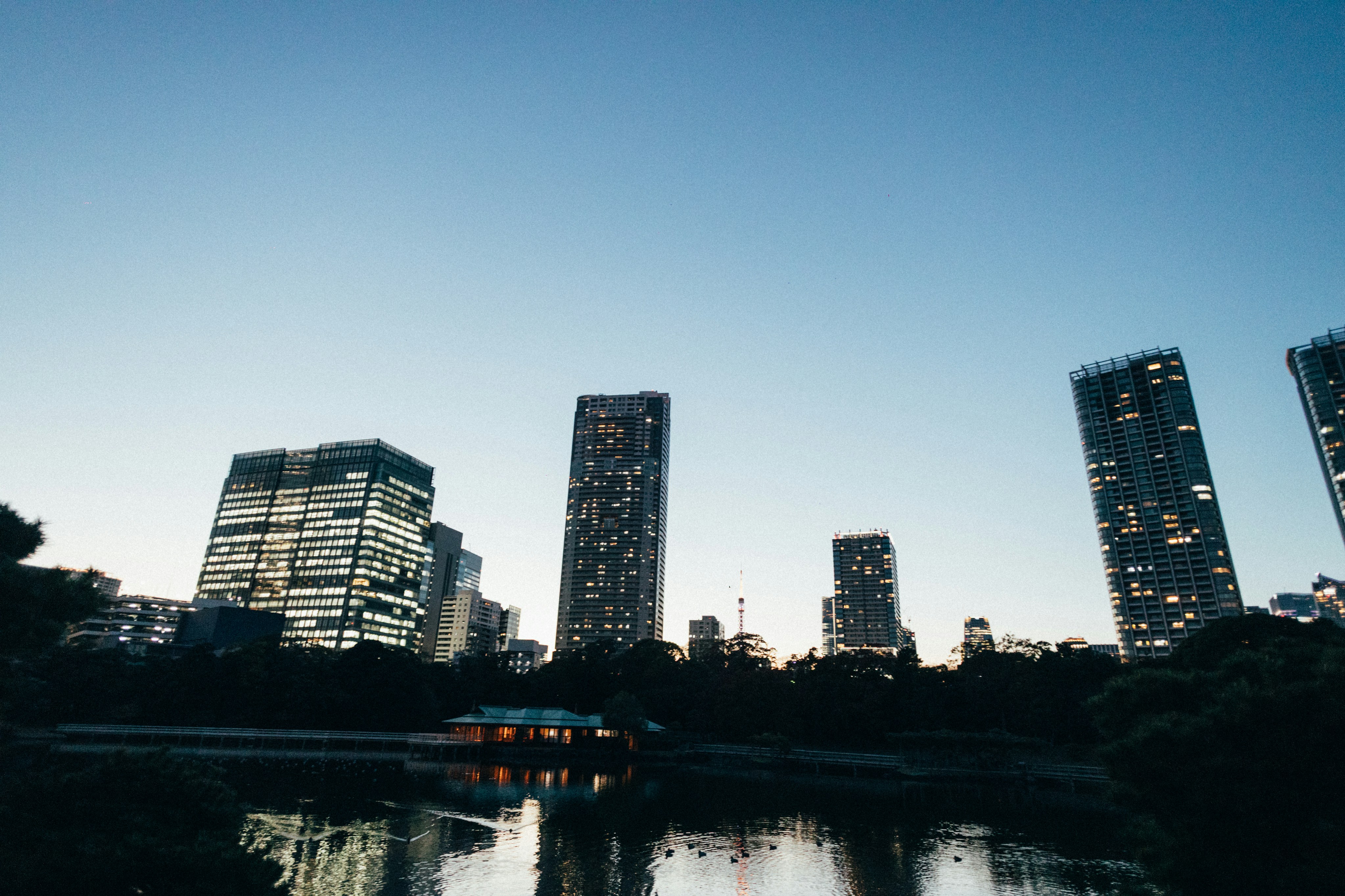 Photo by tsuyoshikozu