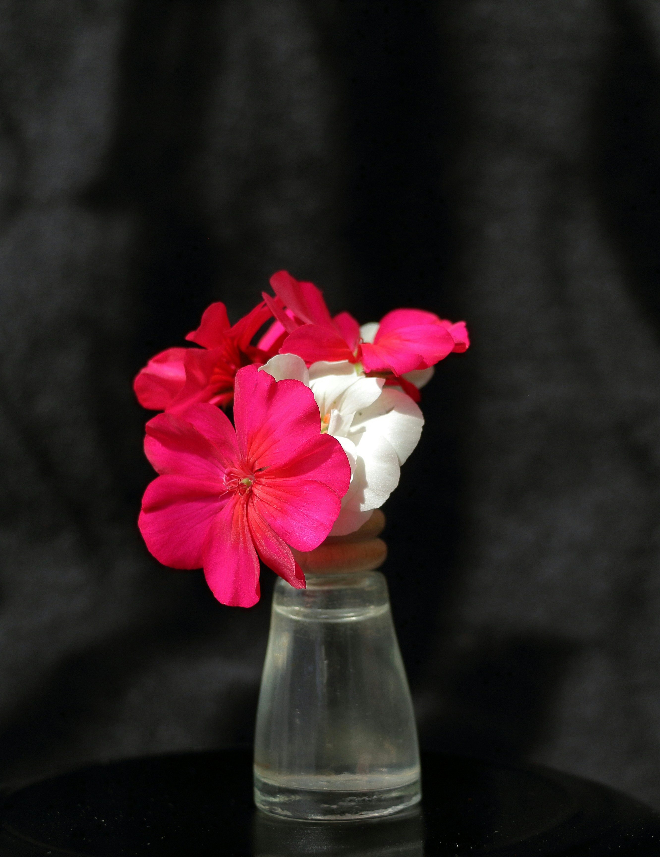 Bright flowers bloom in a tiny glass vase.