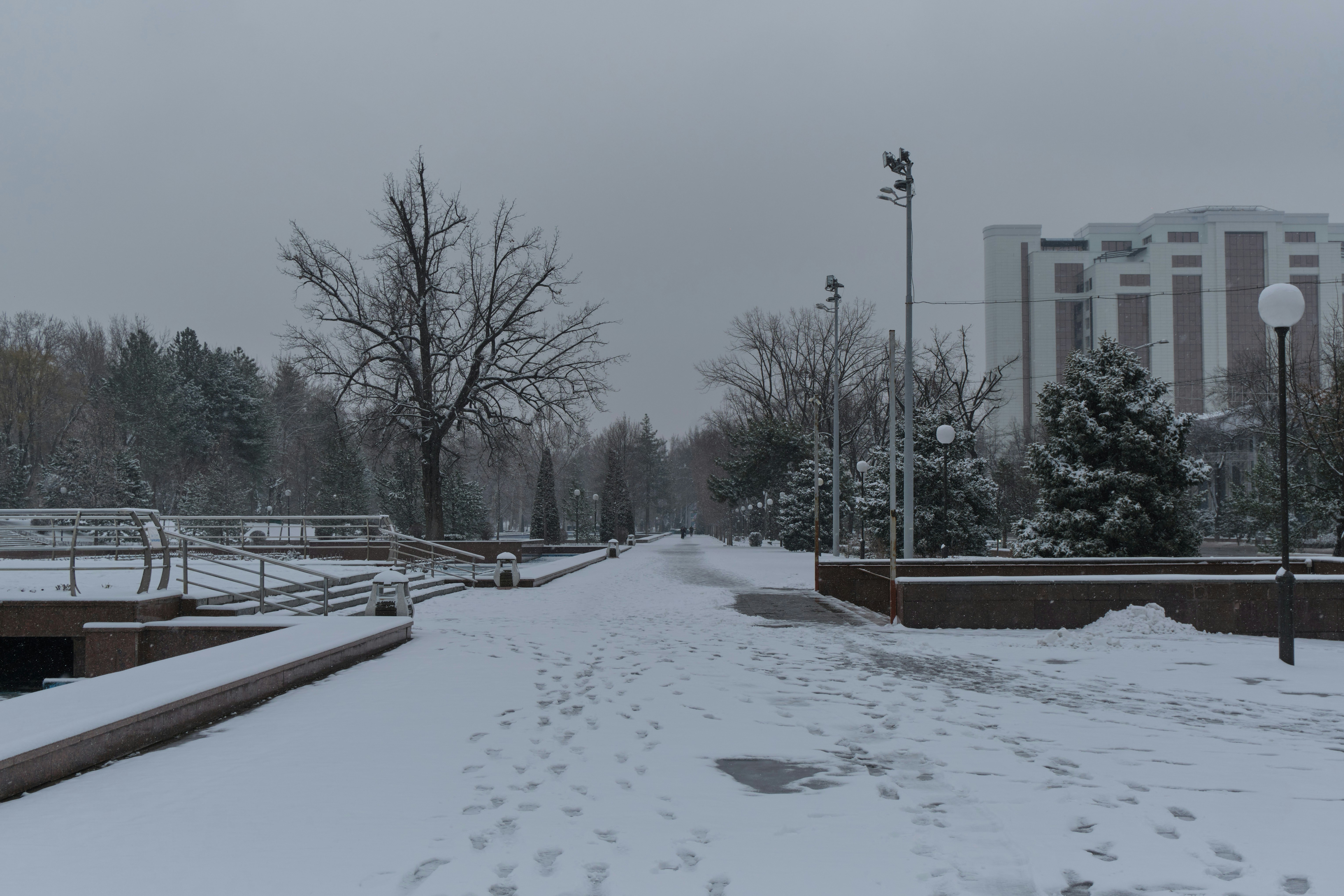 Photo by dashanovasha