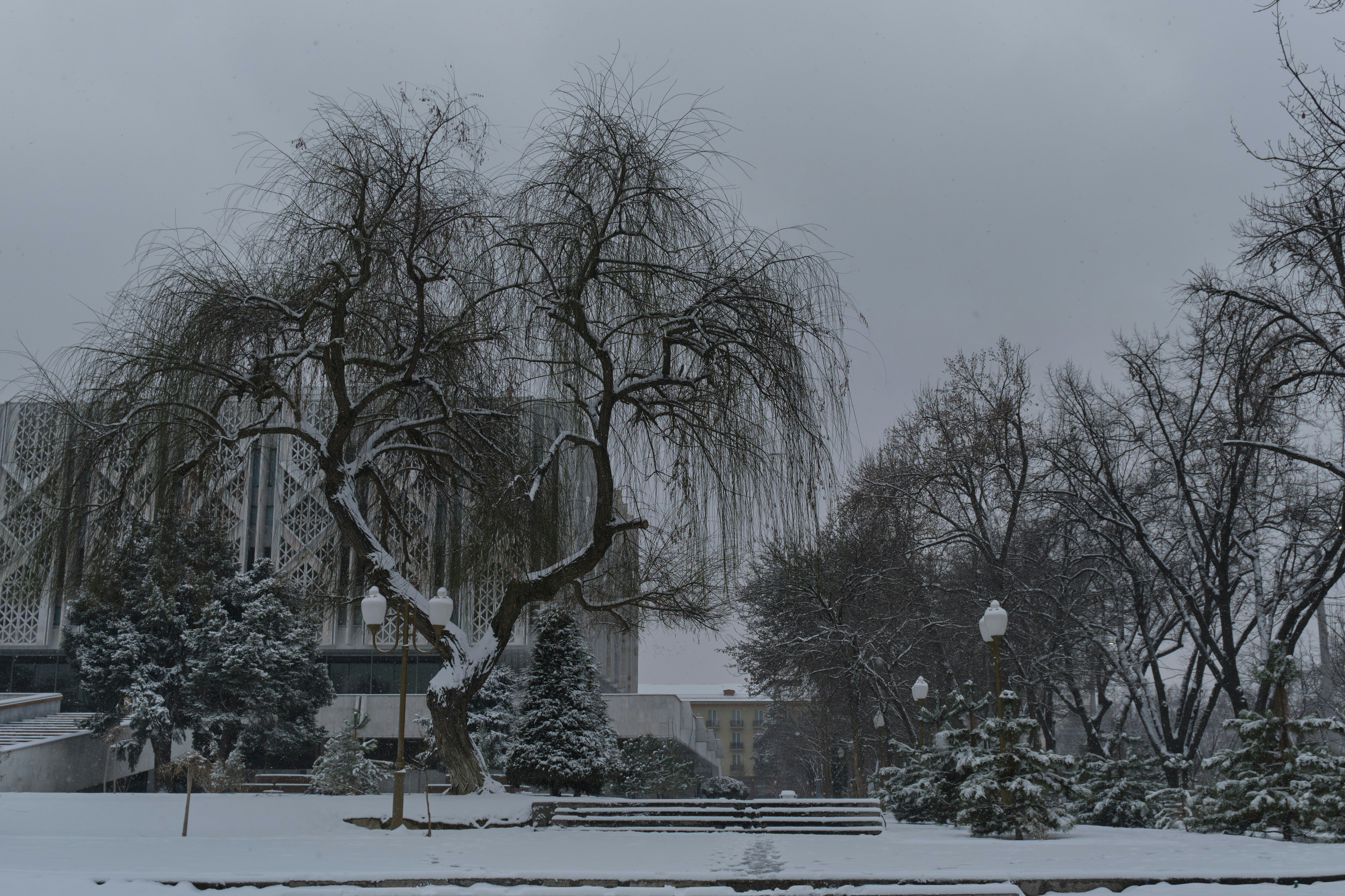 Photo by dashanovasha