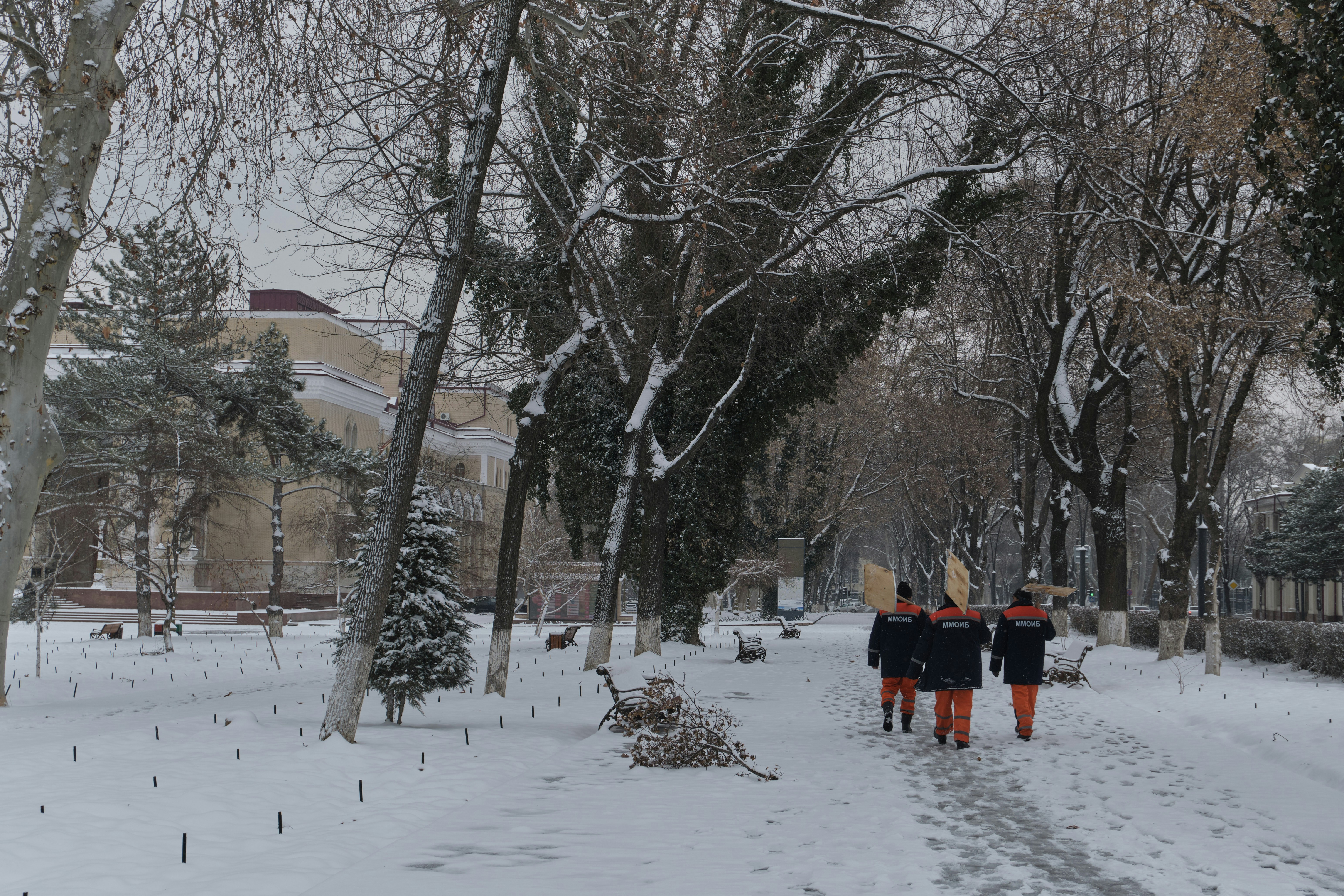People walk in a snowy park on a winter day.
