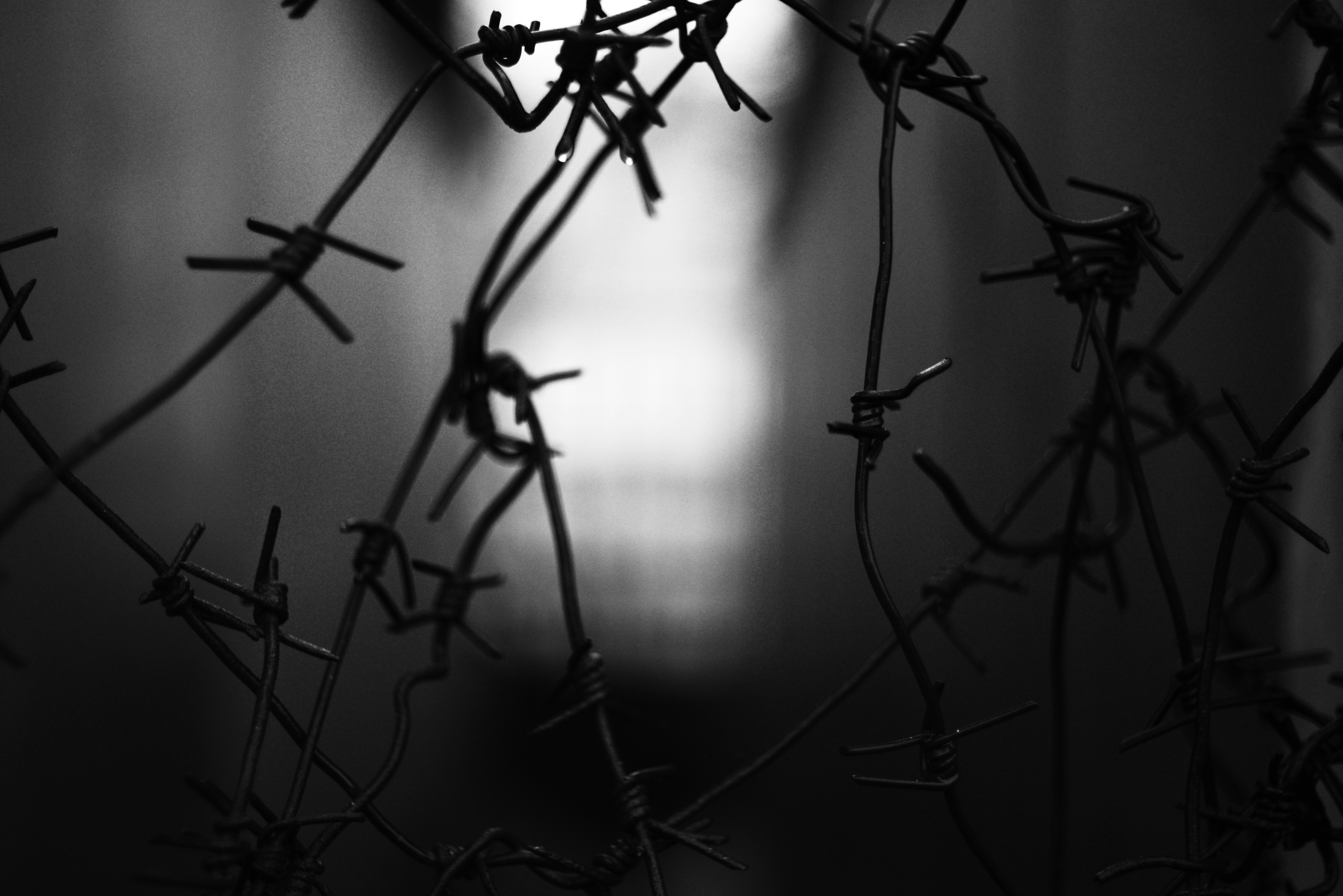 Barbed wire obstructs the bright light. (Photo by Liana S on Unsplash)